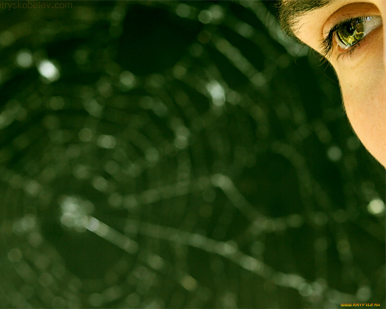 stigmata9оставьнадежду, музыка, stigmata