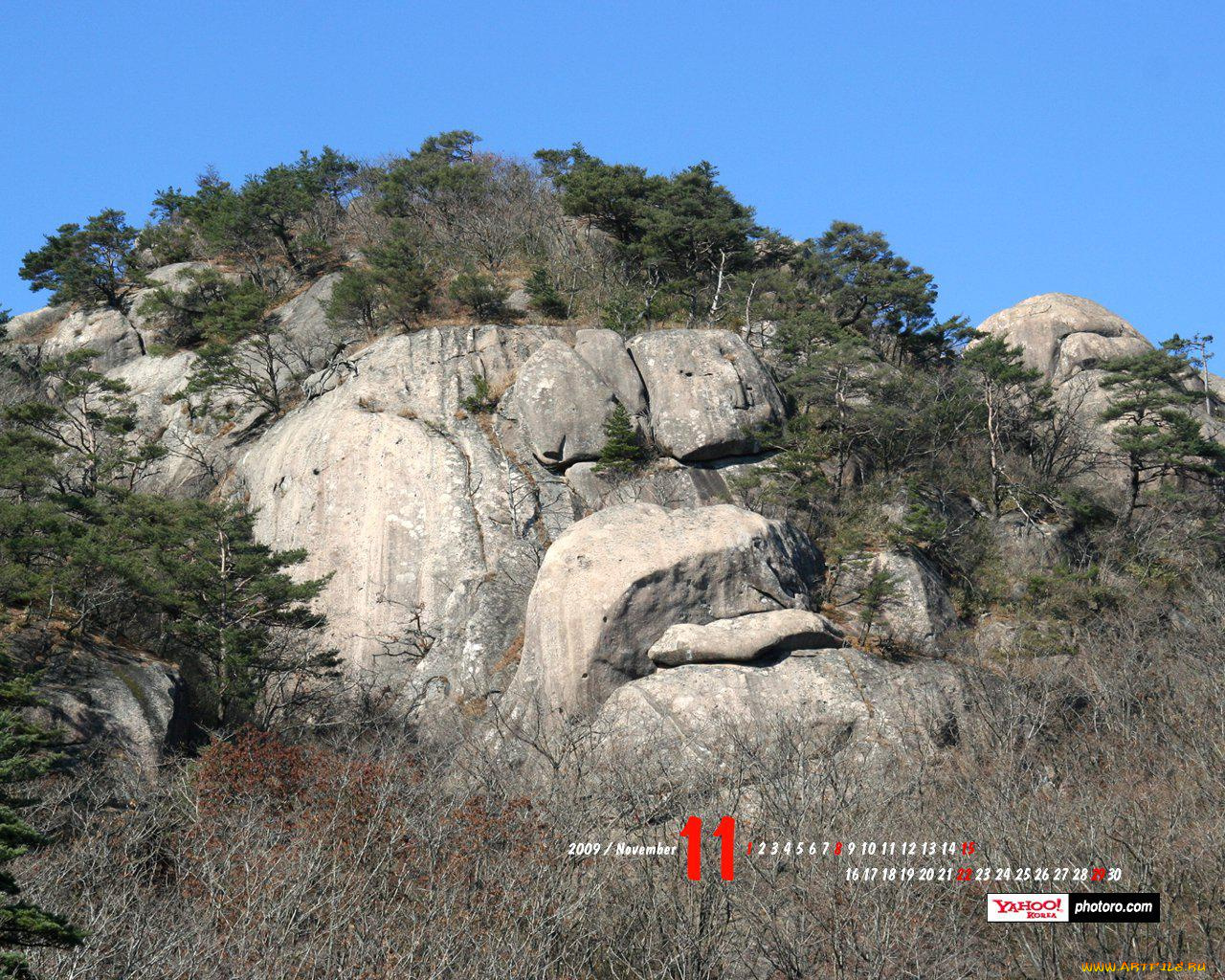 календари, природа