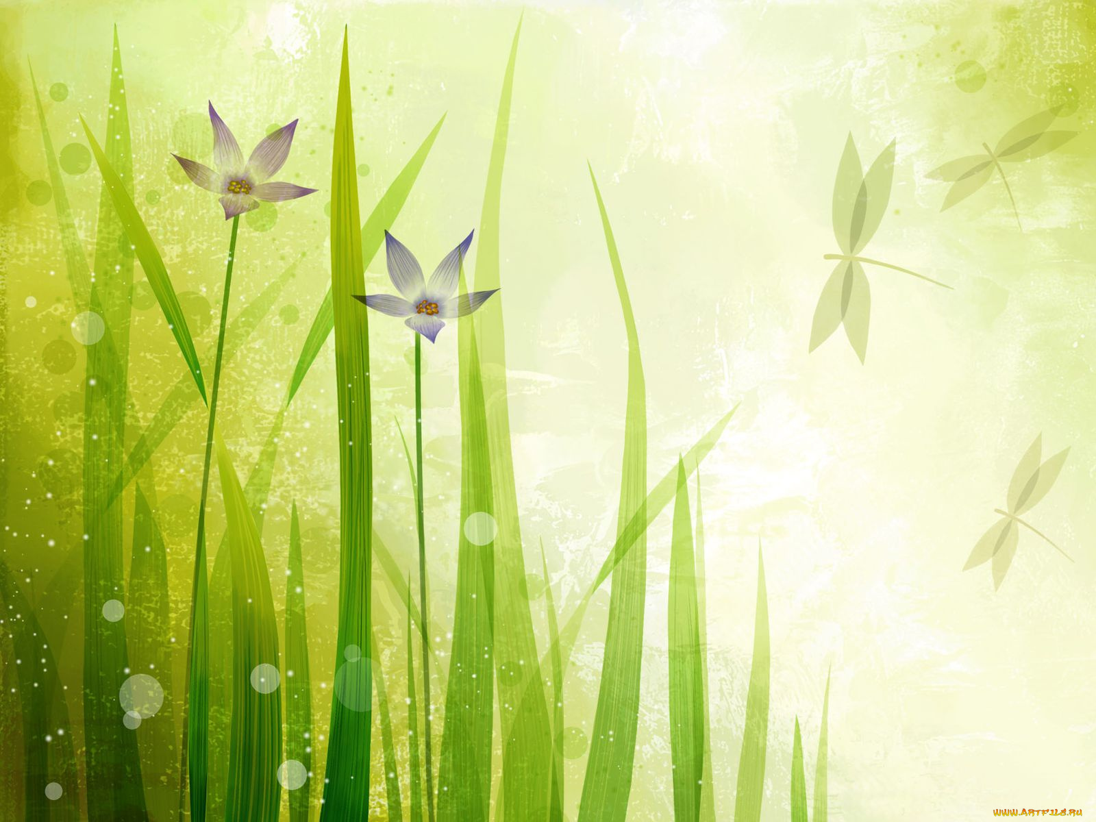 векторная, графика