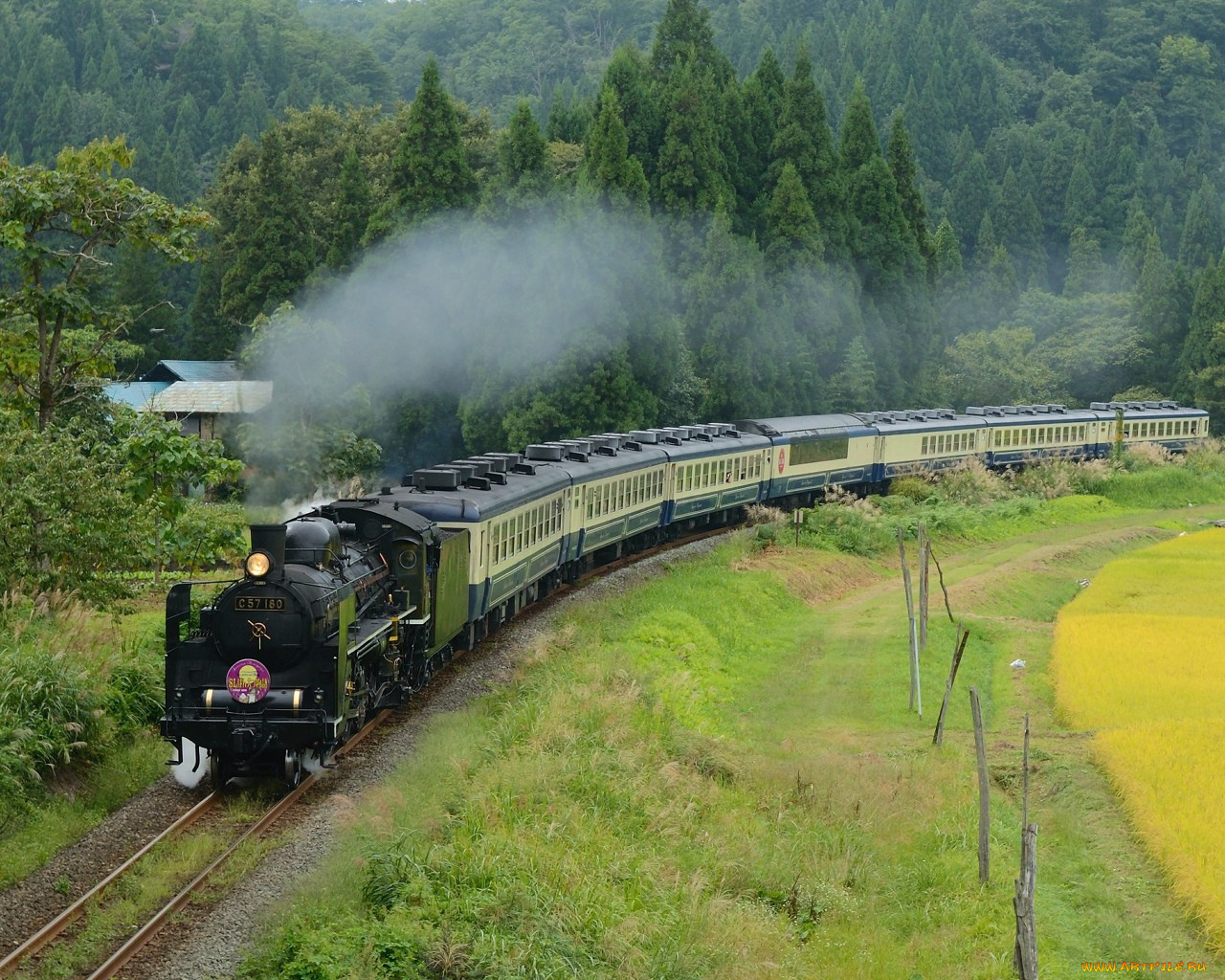 техника, паровозы