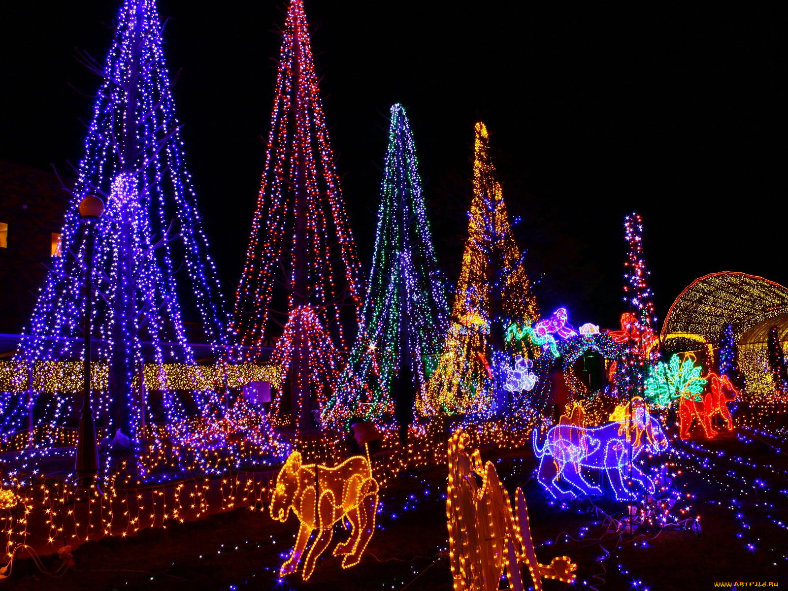 праздничные, новогодние, пейзажи