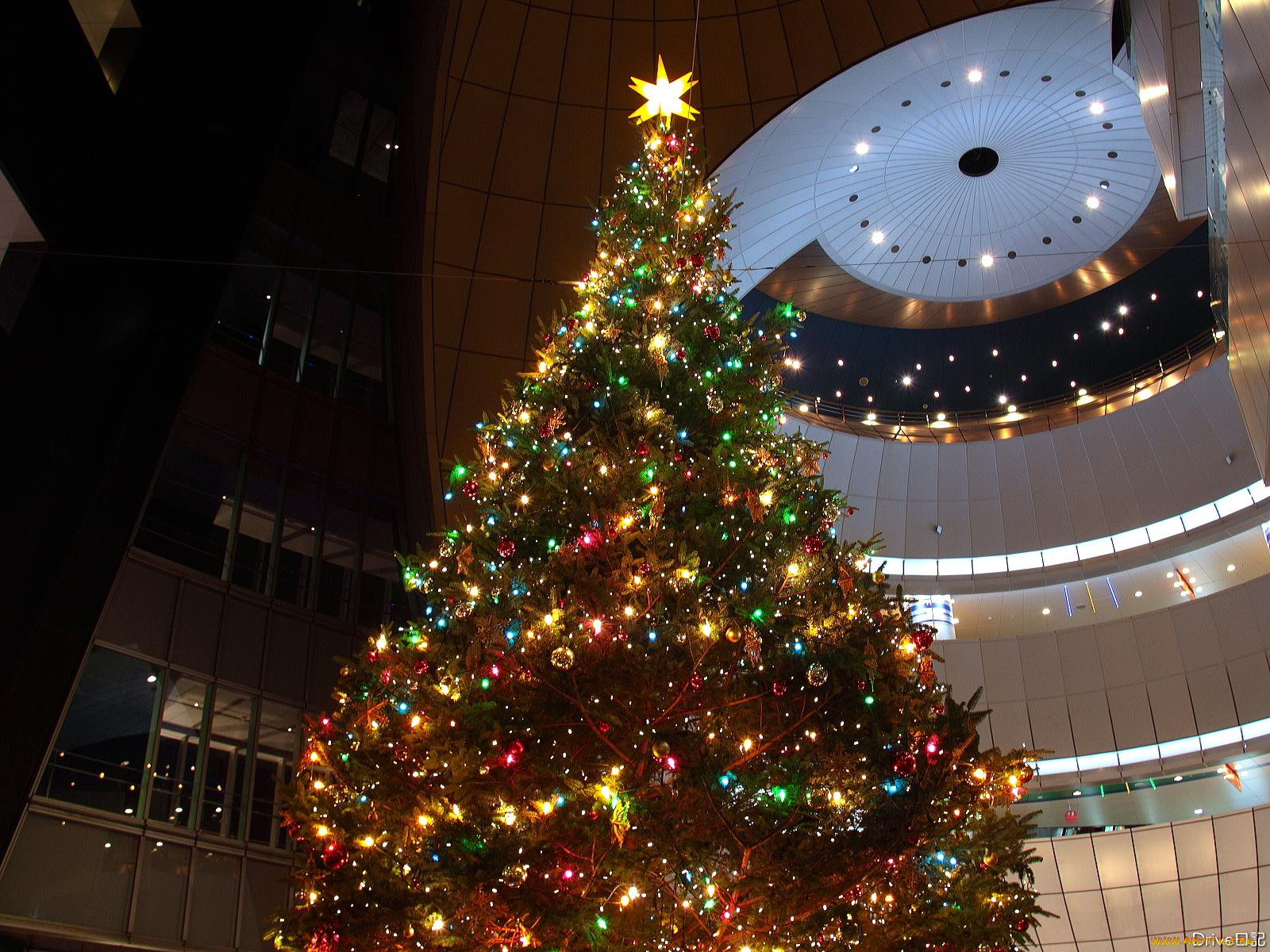 праздничные, Ёлки