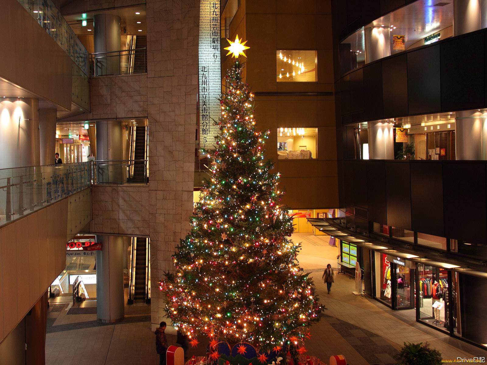 праздничные, Ёлки