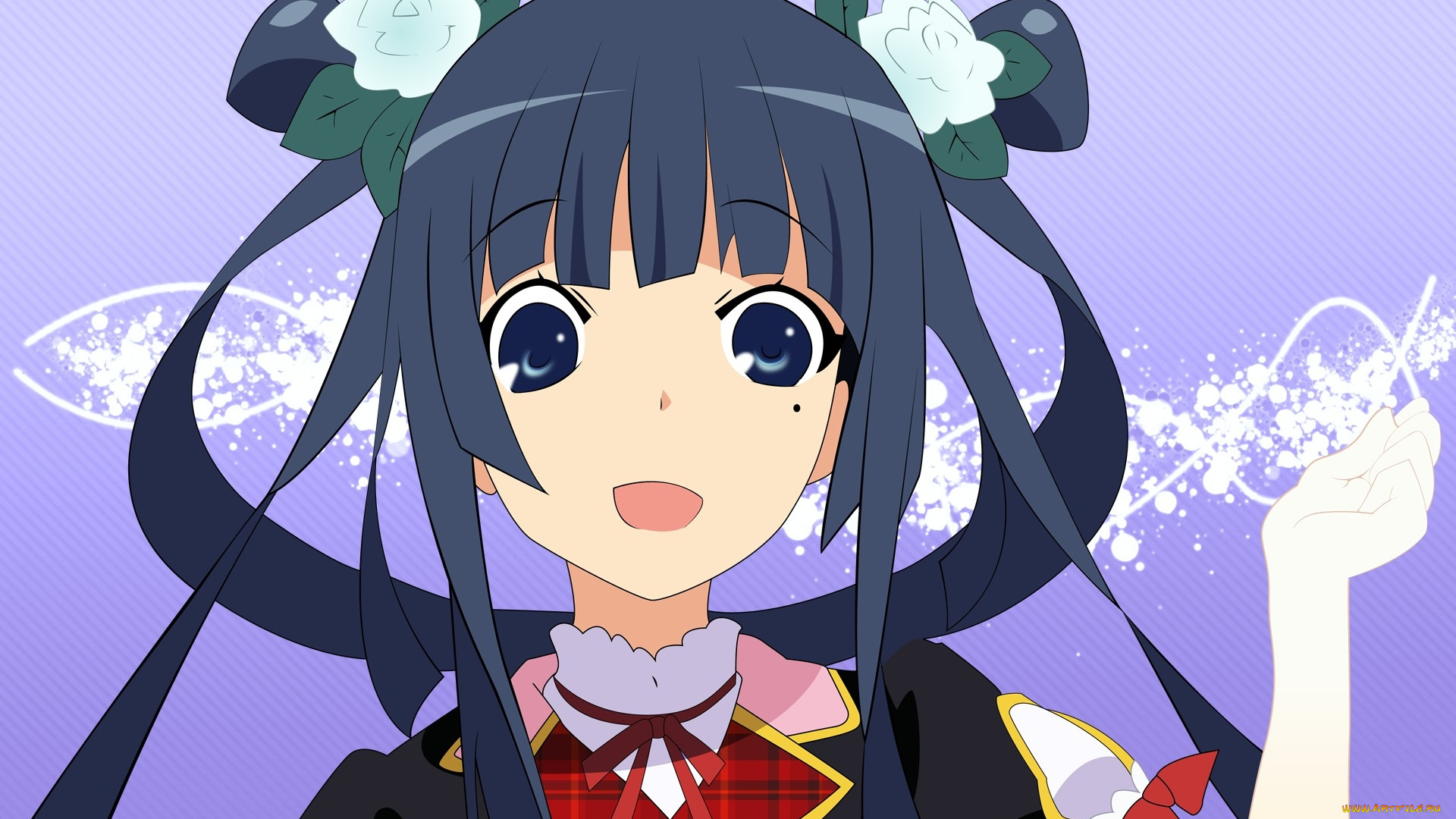 аниме, ookami, san, to, shichinin, no, nakama, tachi