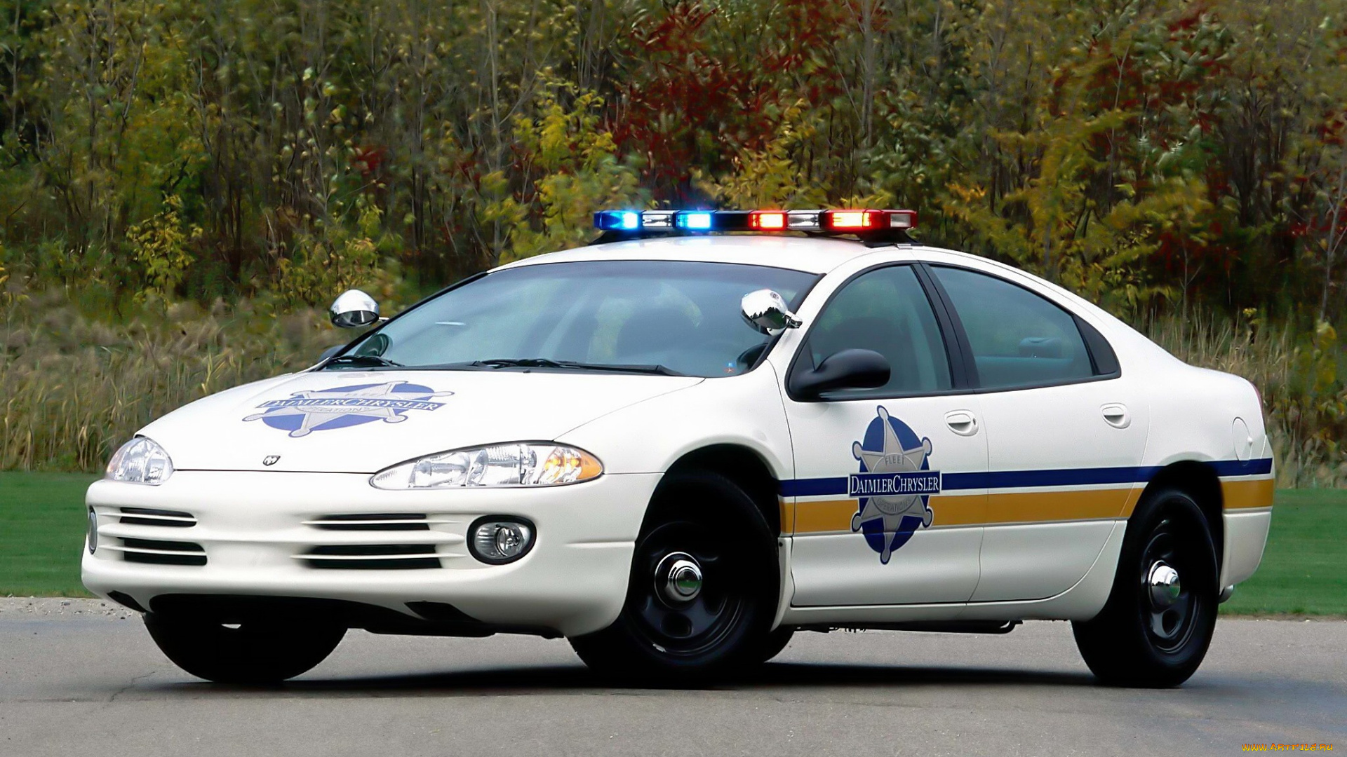 автомобили, полиция