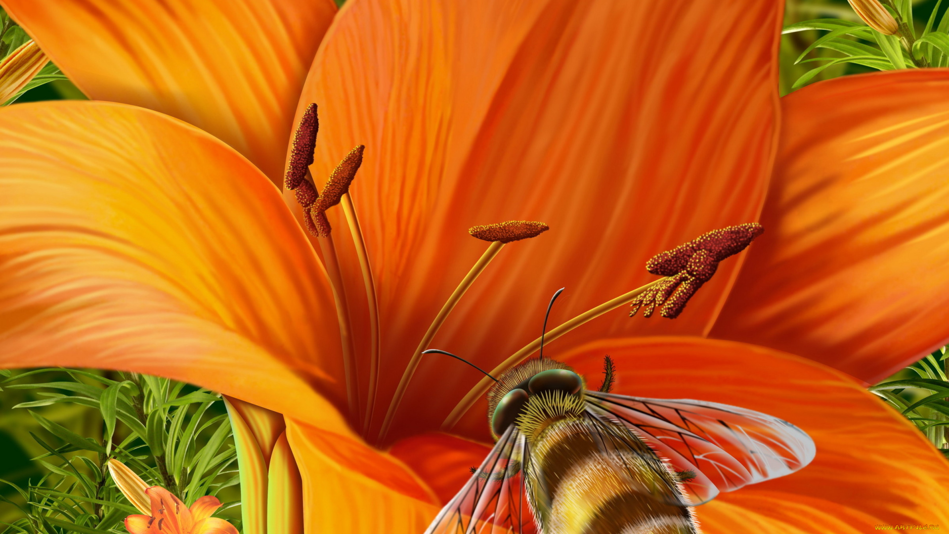 рисованные, цветы