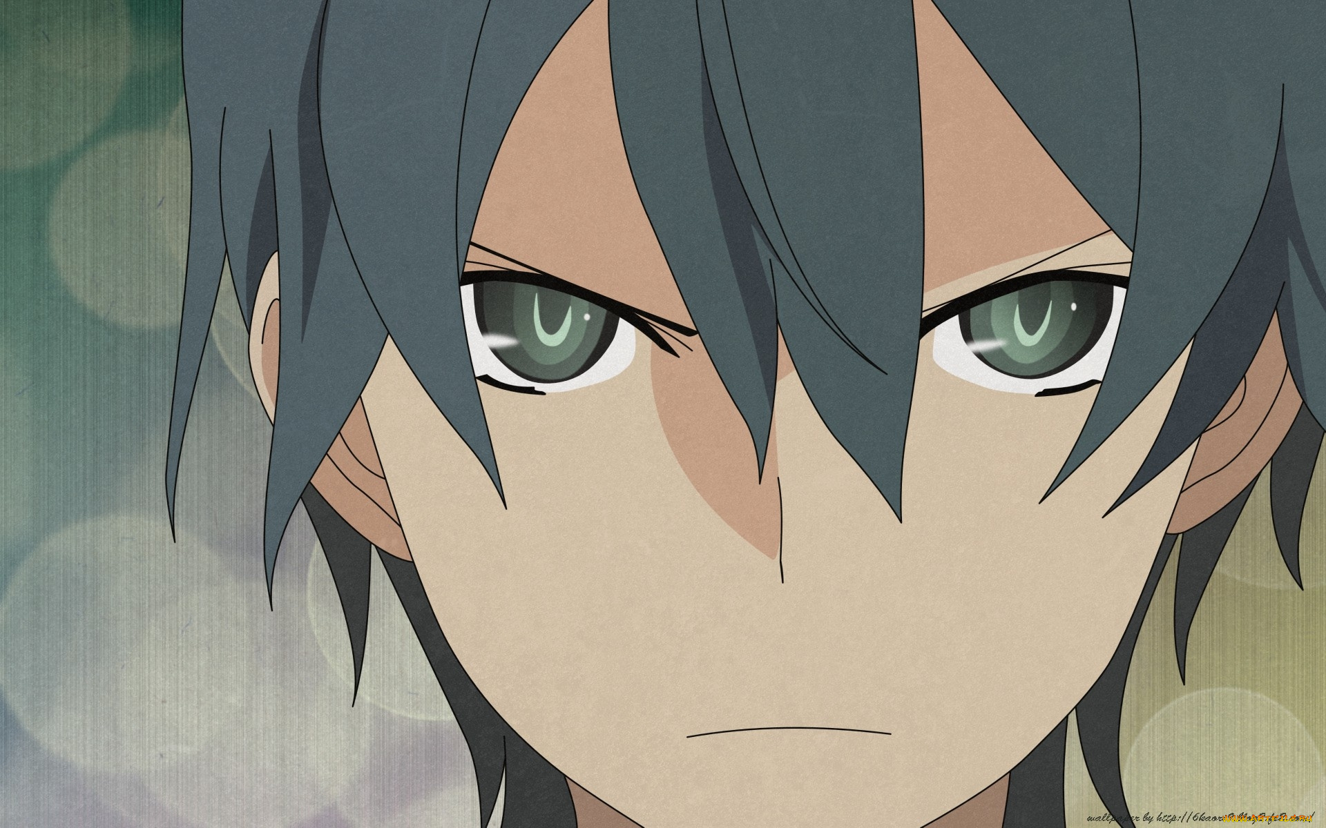 аниме, ookami, san, to, shichinin, no, nakama, tachi