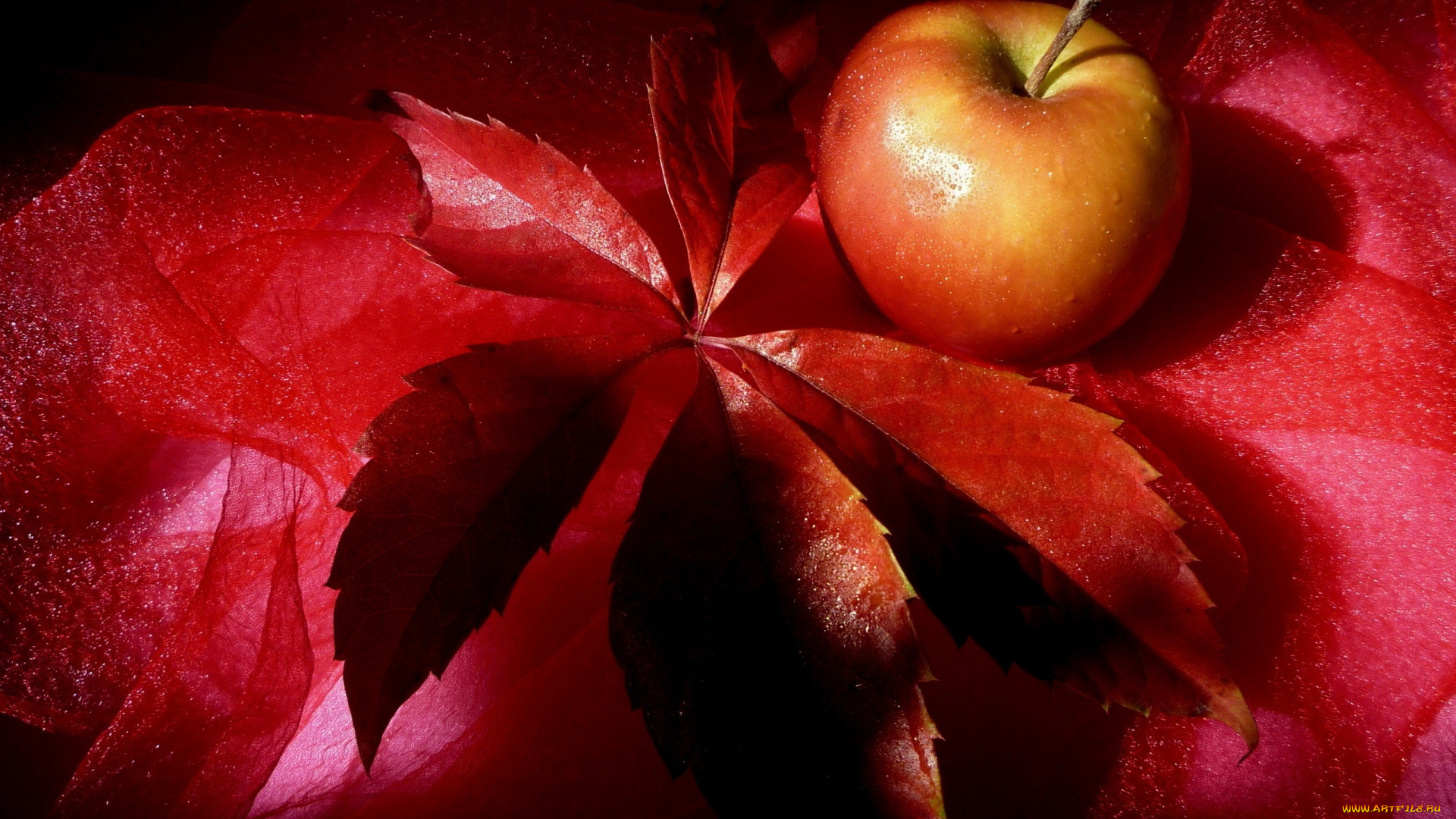 еда, Яблоки, лист