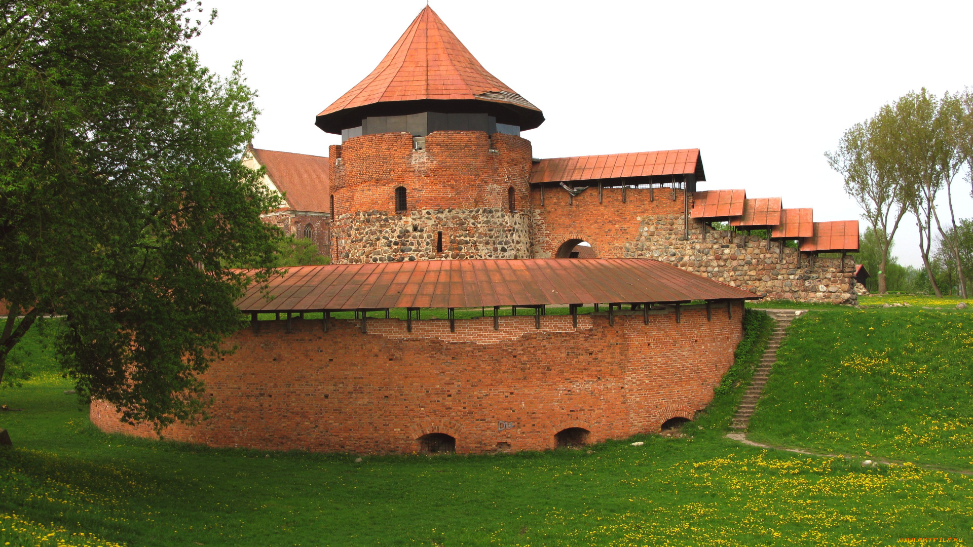 литва, каунасский, замок, города, дворцы, замки, крепости, башня, одуванчики