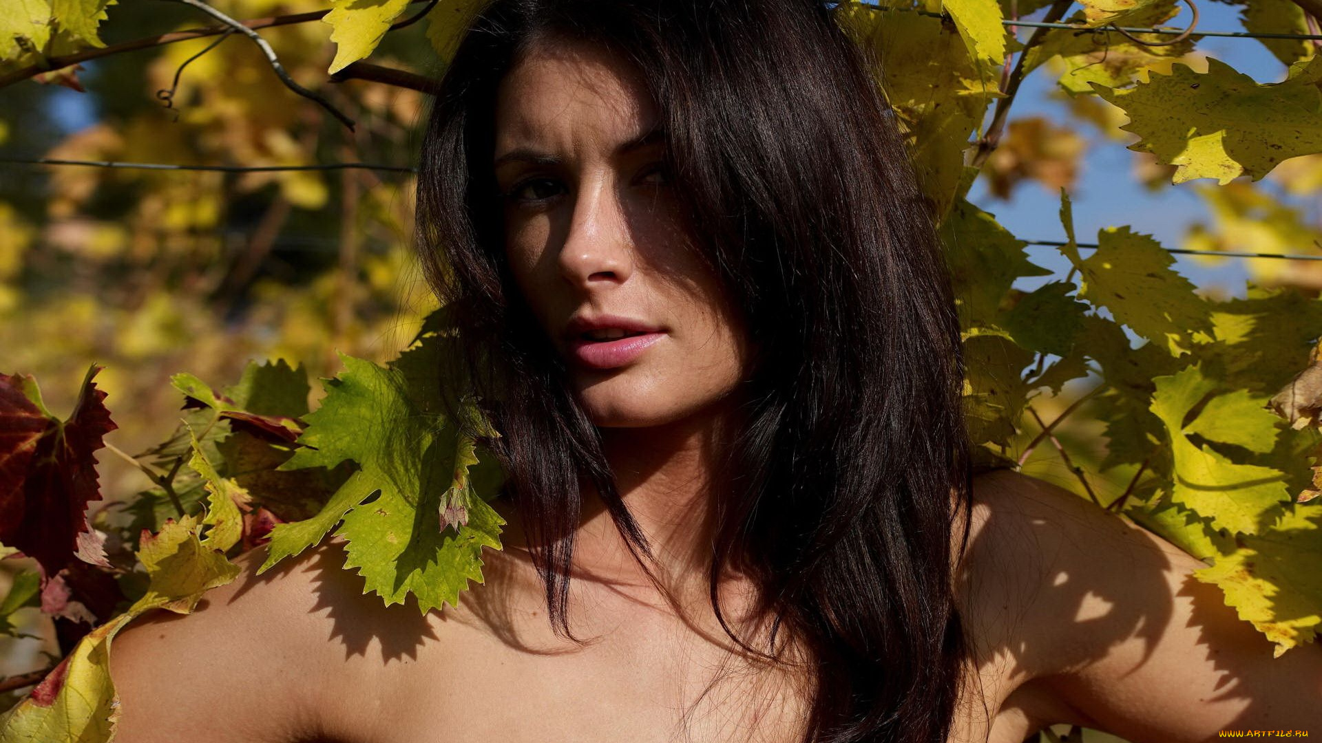 Kocsis, Orsi, девушки, волосы