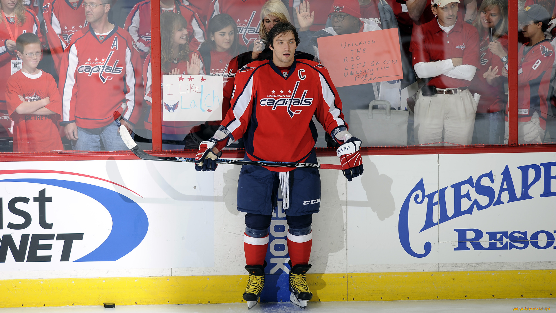 спорт, хоккей, александр, овечкин, фанаты, москва, динамо, форма, хоккеист, клюшка, лёд