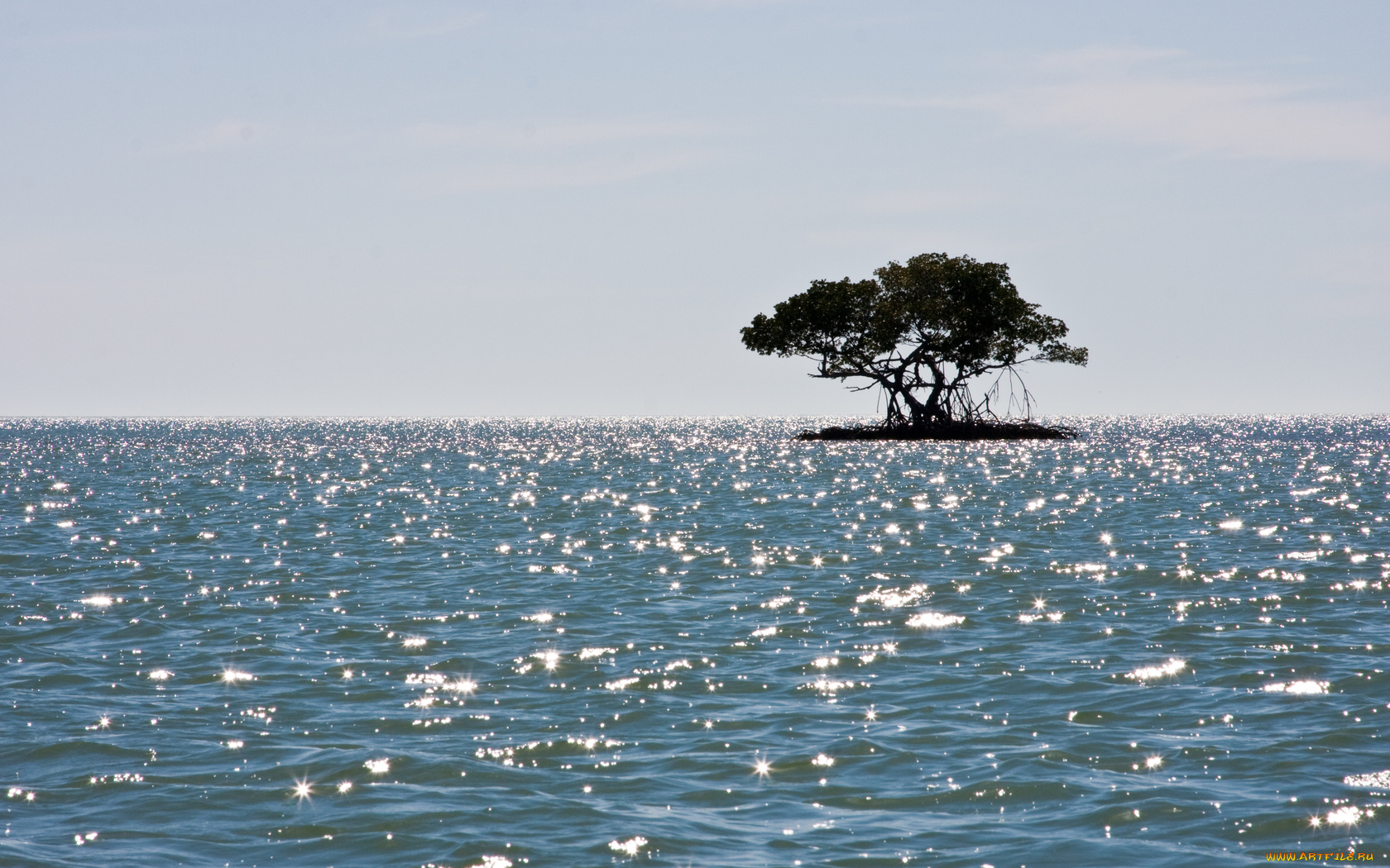 3д, графика, sea, undersea, море, остров