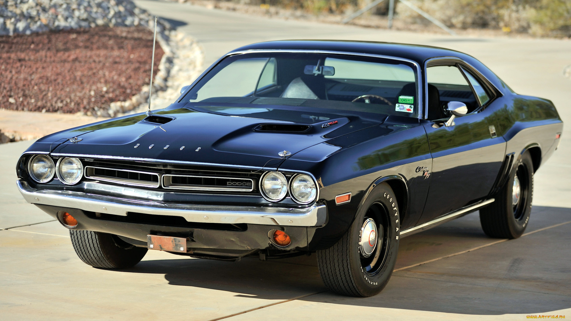 dodge, автомобили, автомобиль, стиль, изящество, мощь, скорость