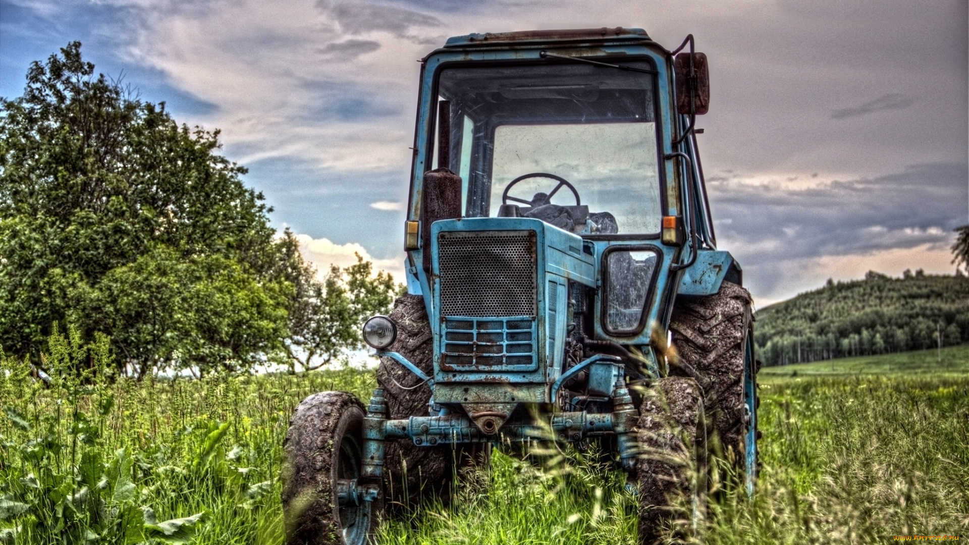 техника, тракторы, поле, зелЁнаЯ, растительность, лес, трава, зелень, трактор