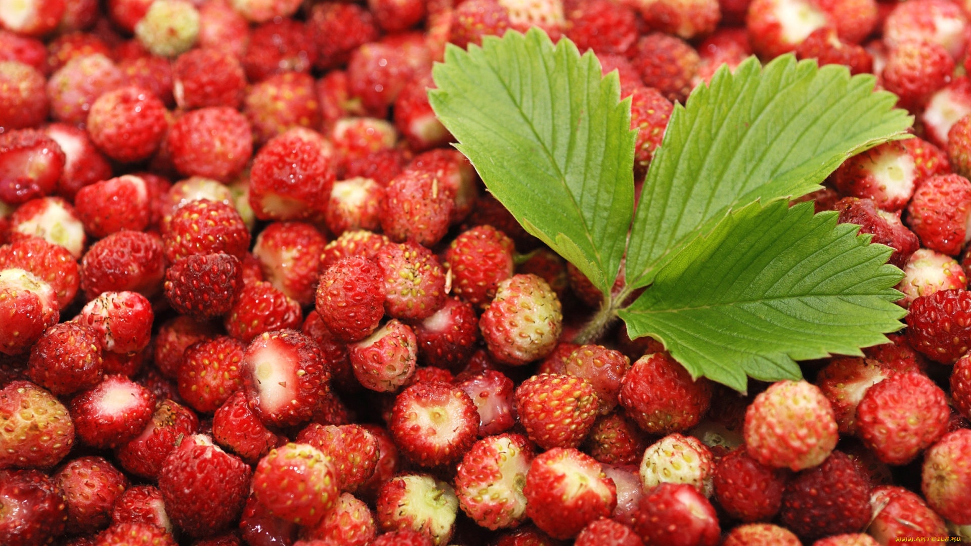 еда, клубника, земляника