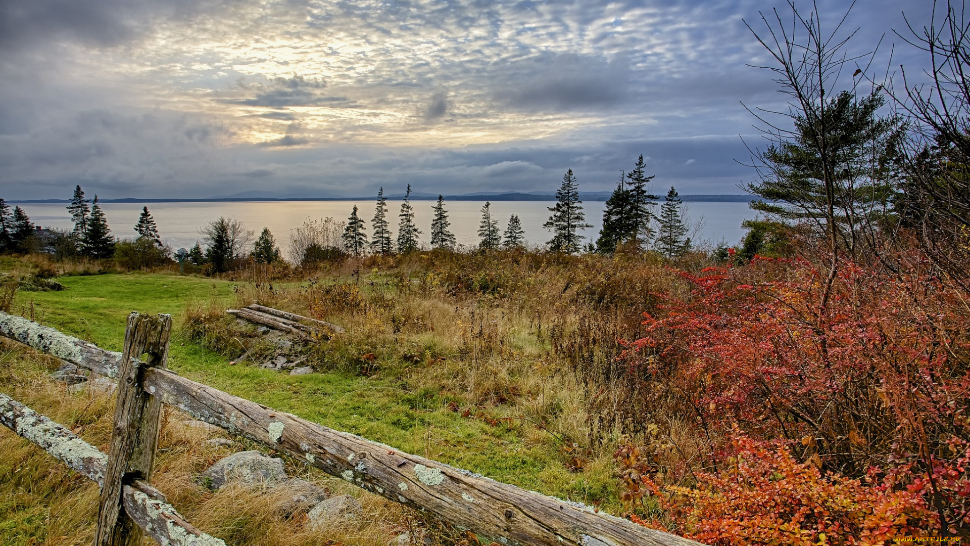 природа, реки, озера, лес, изгородь, осень, озеро, опушка, тучи
