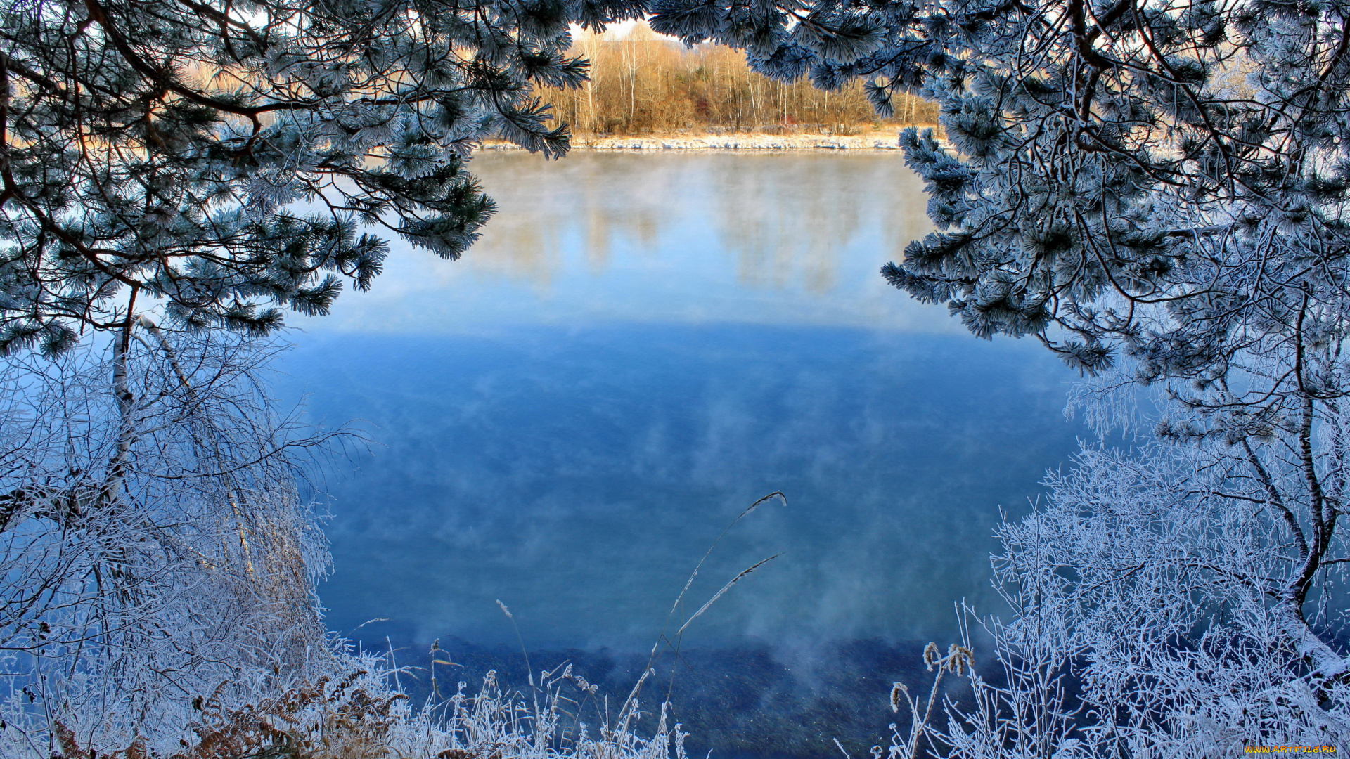 природа, реки, озера, снег, иней, деревья, река, зима