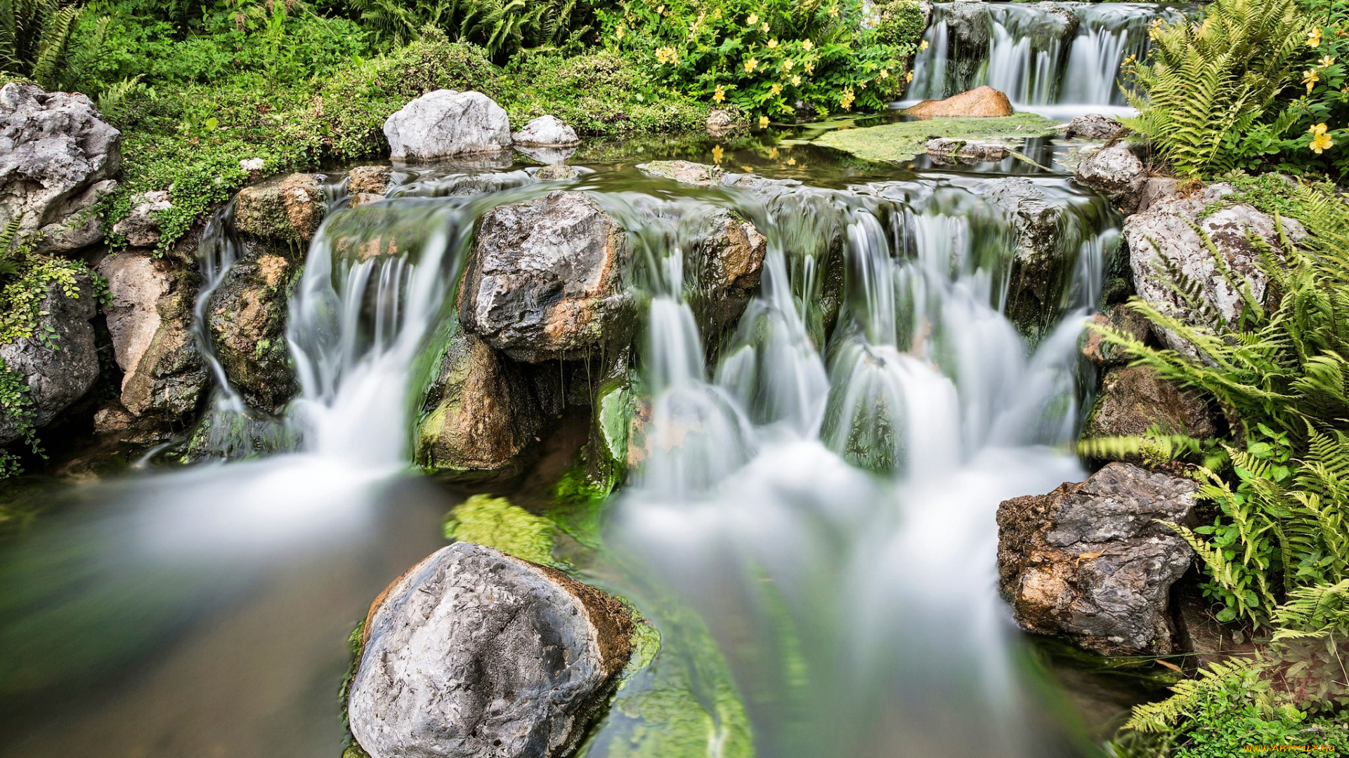 природа, водопады, лес, каскад, водопад, папоротники, река
