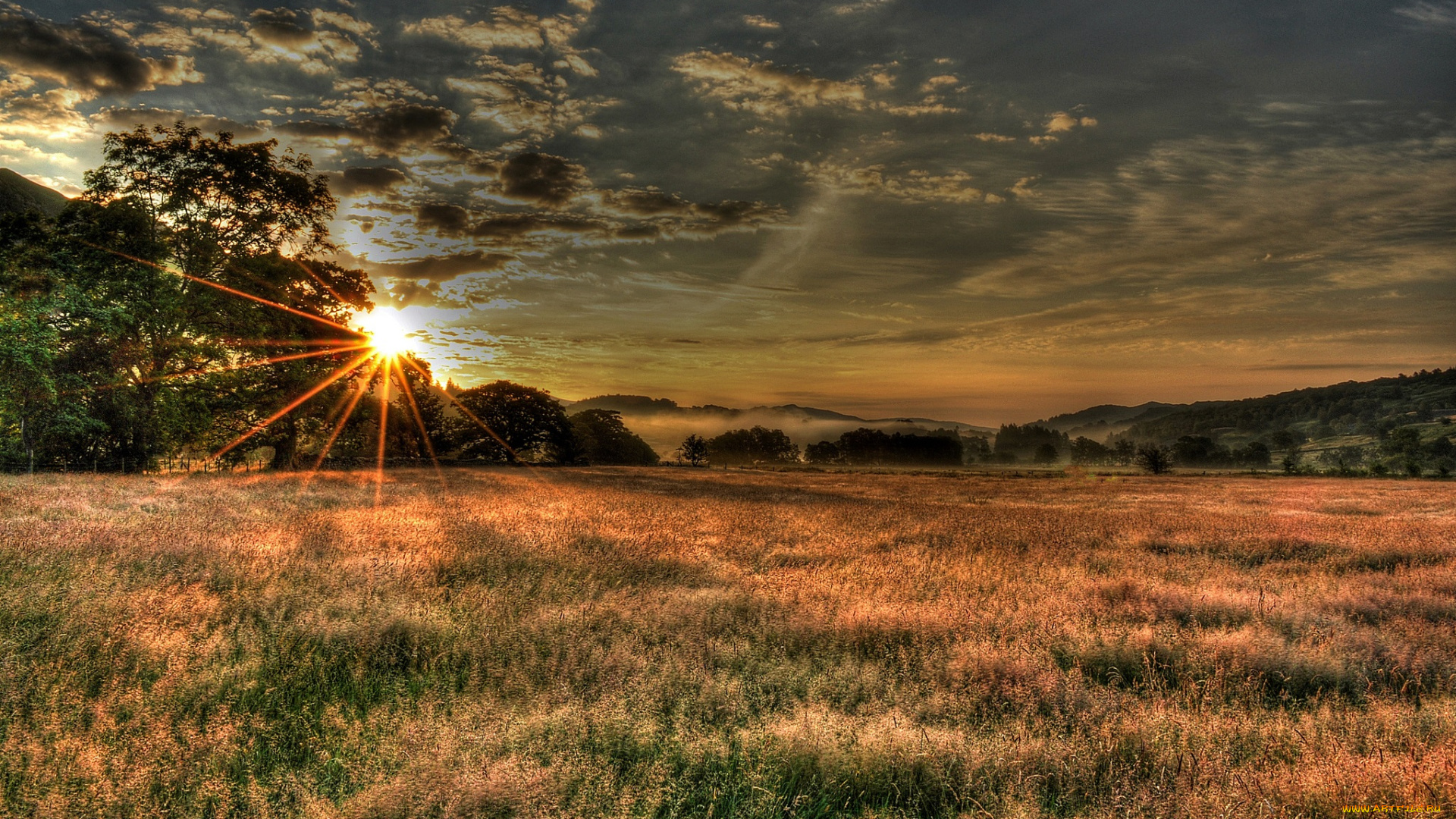 природа, восходы, закаты, поле, лучи, солнце, трава, лес, туман