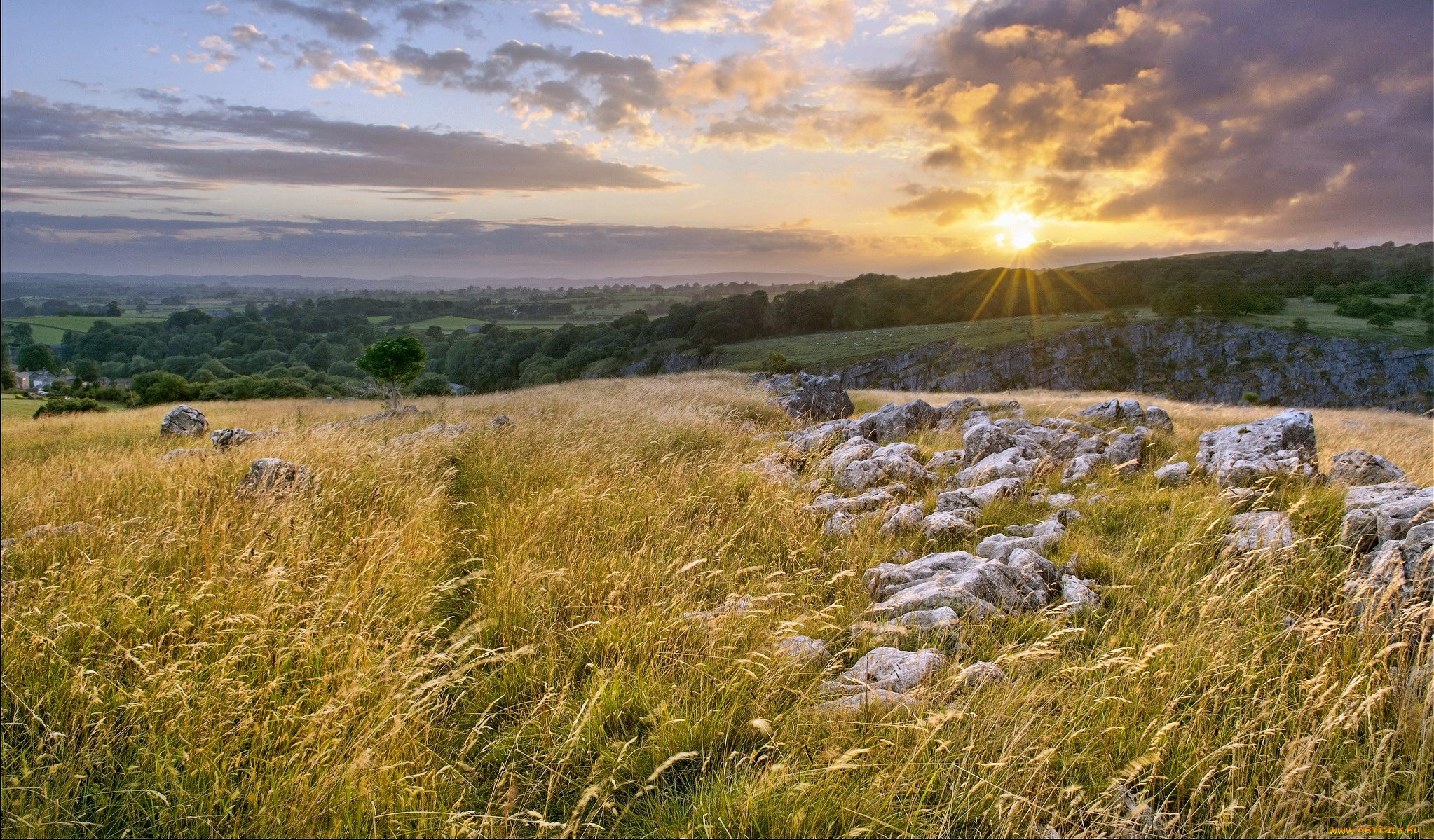 природа, восходы, закаты, леса, камни, трава, поле, свет, солнце, тучи