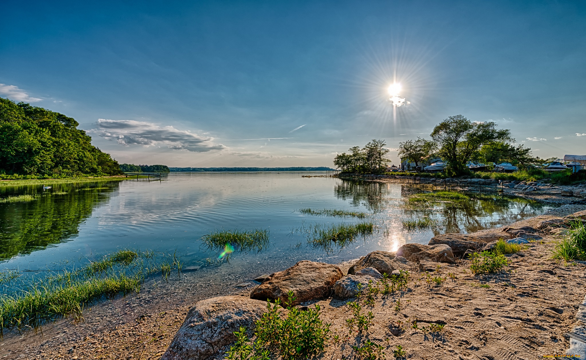 природа, реки, озера, дерево, трава, песок, лес, река, солнце