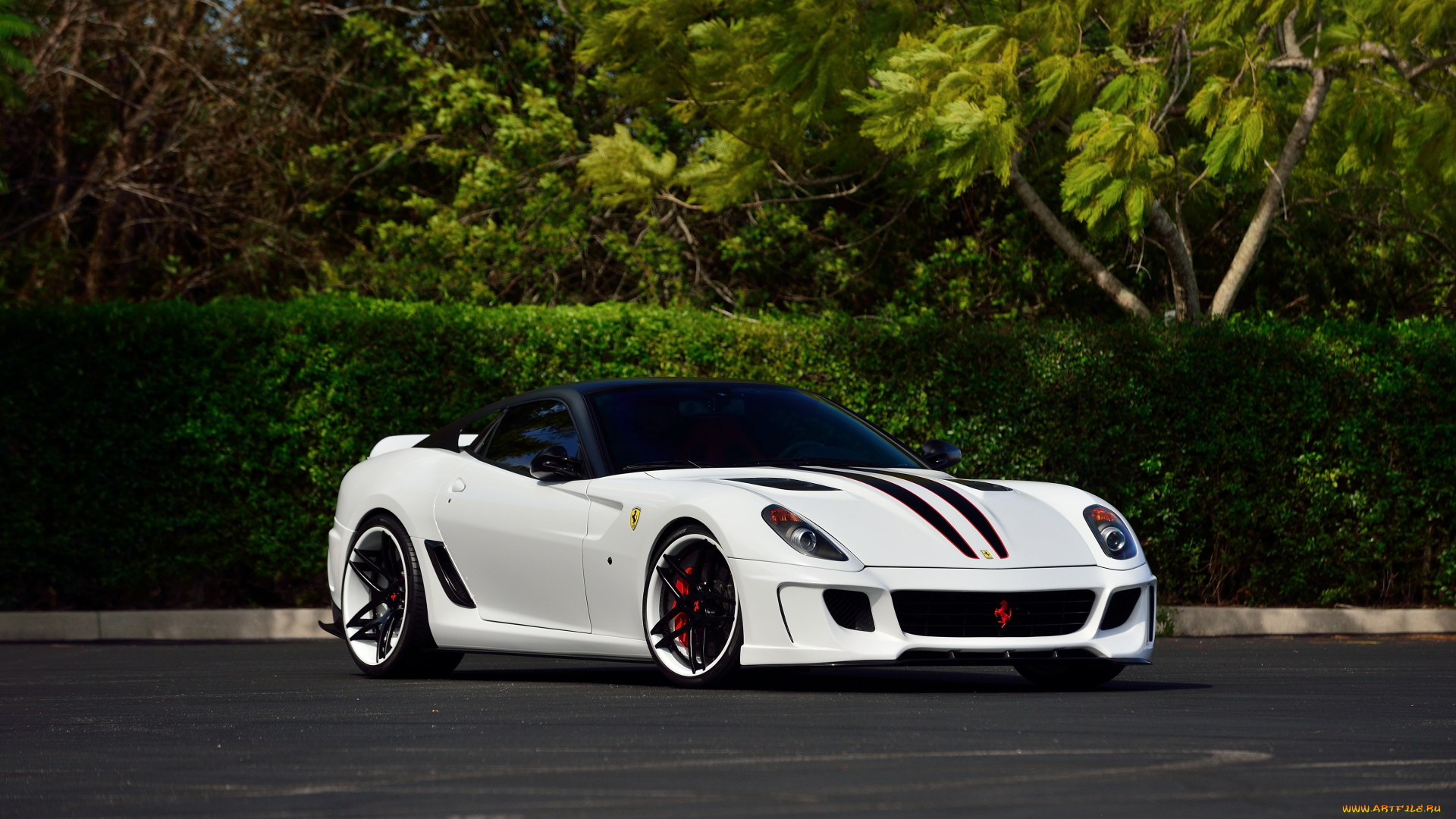 автомобили, ferrari, 599-vx, vorsteiner