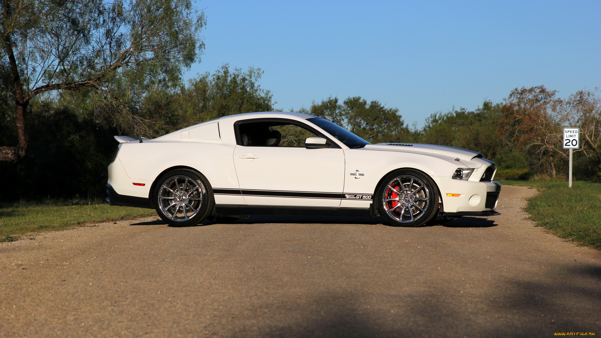 автомобили, mustang, super, shelby, gt500, snake