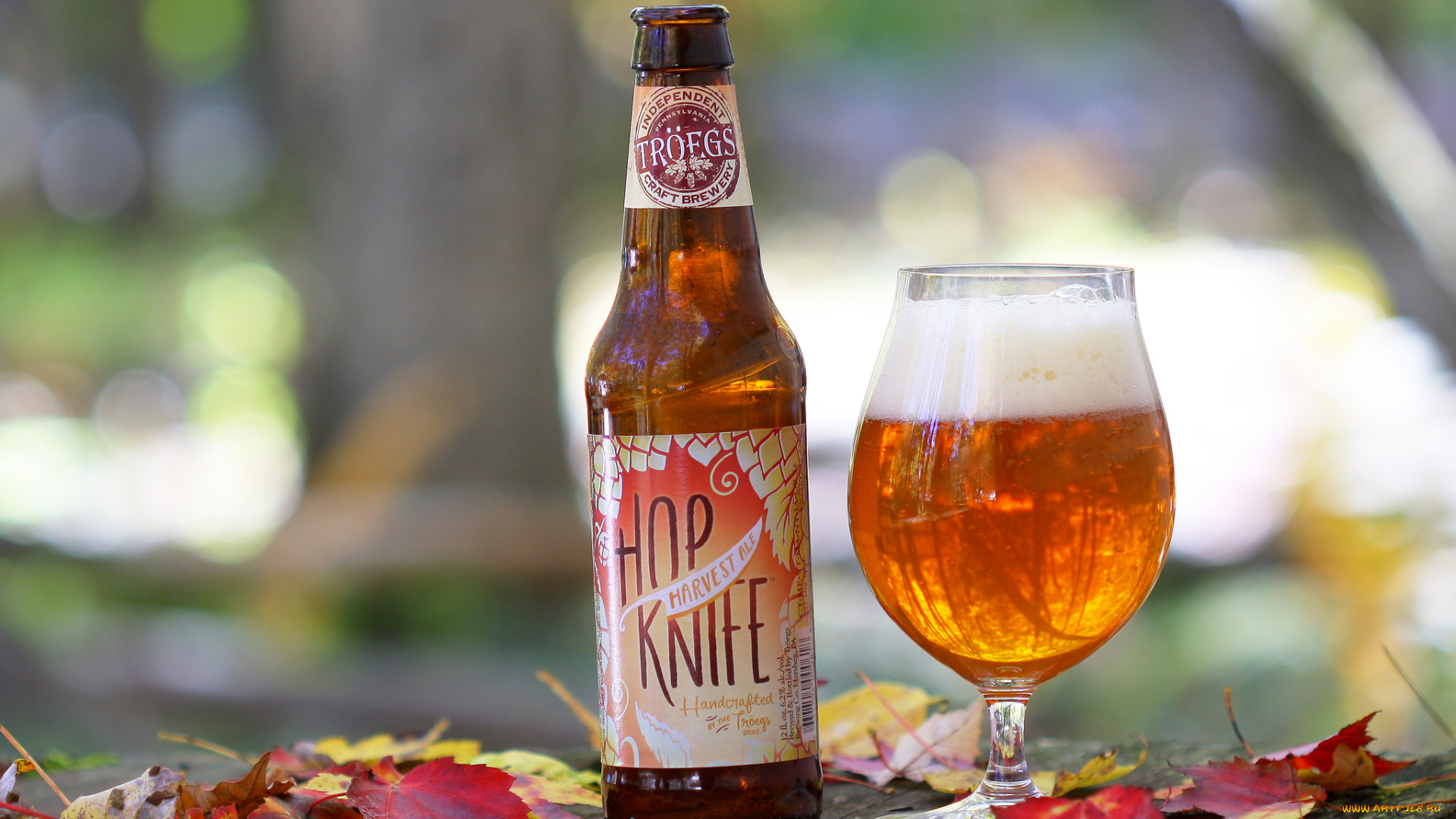 бренды, бренды, напитков, , разное, пиво