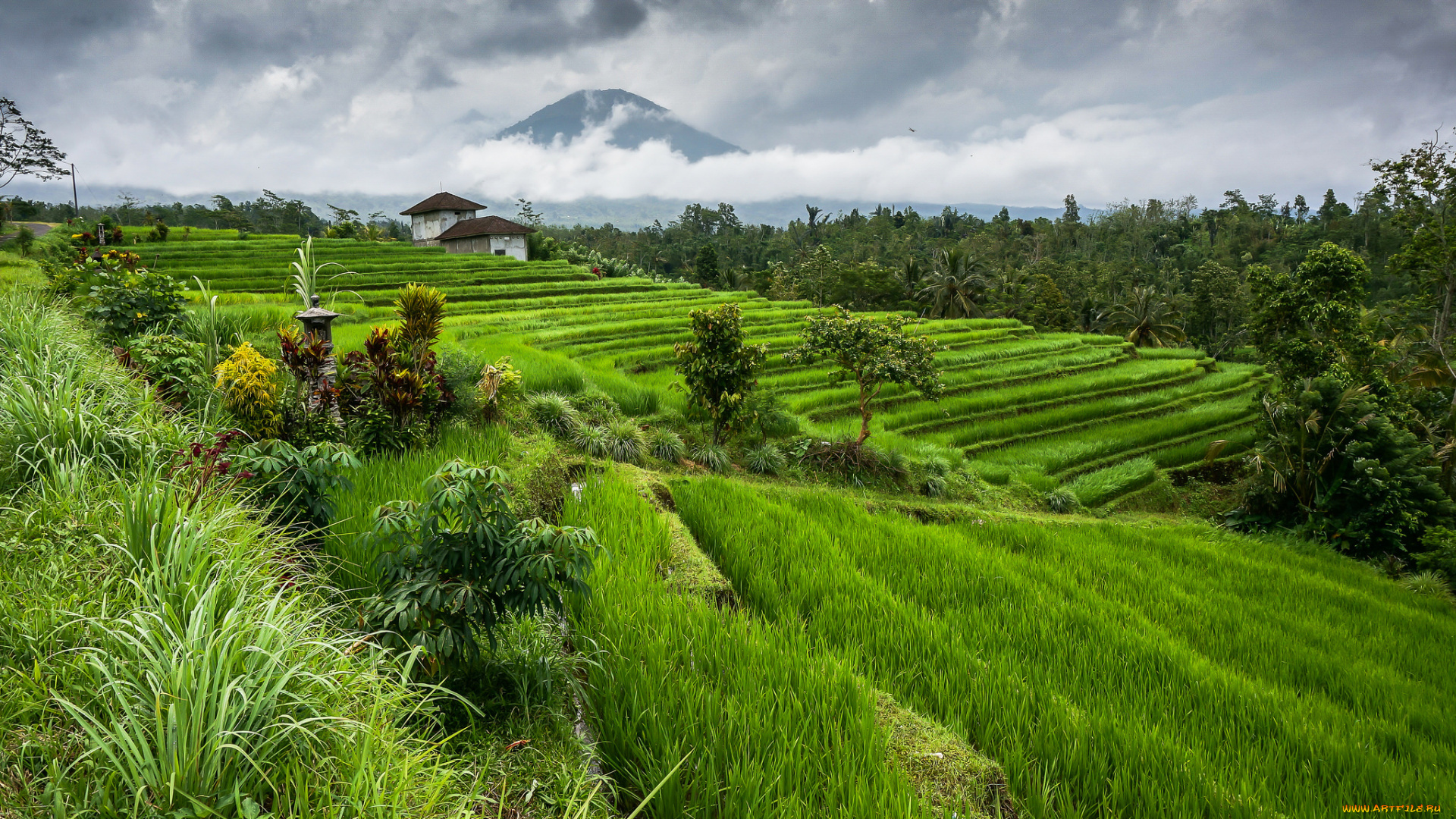 города, -, пейзажи, хутор