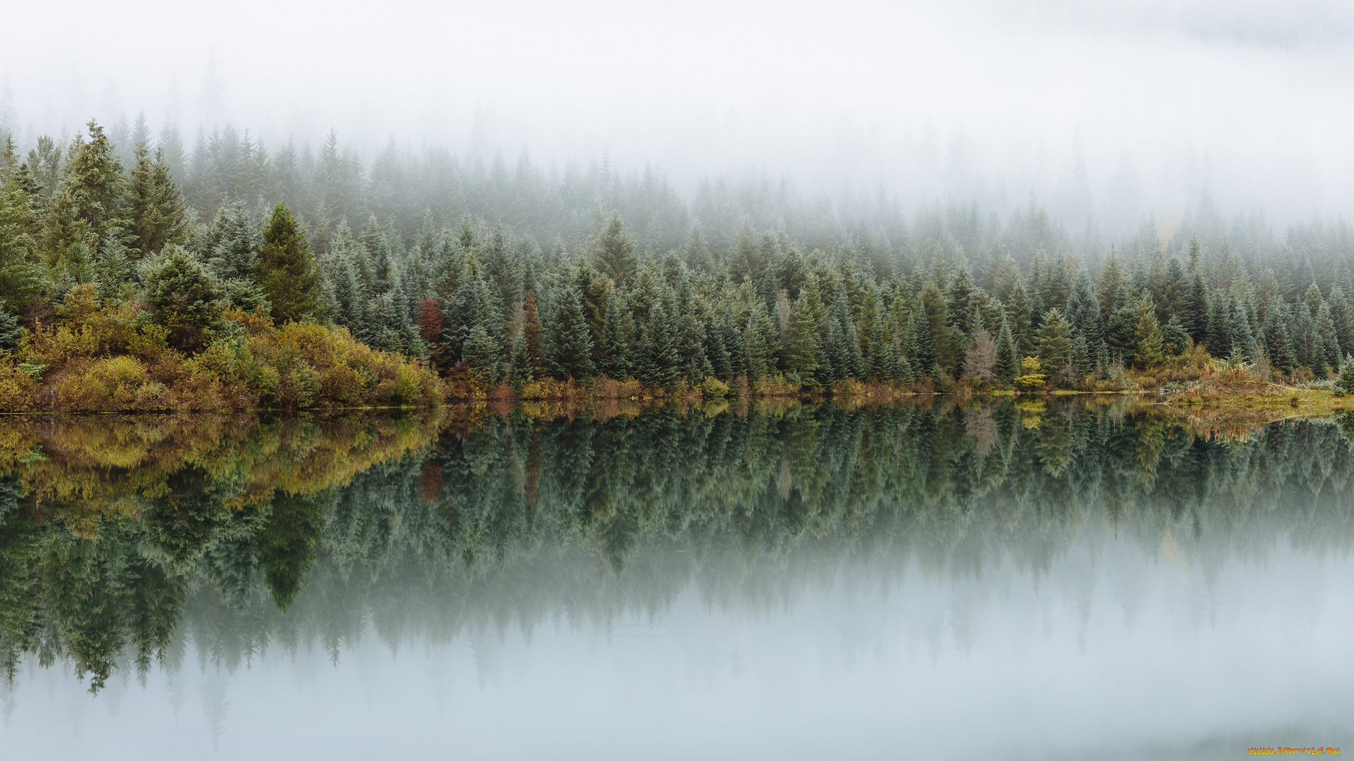 природа, реки, озера, лес, озеро, отражение