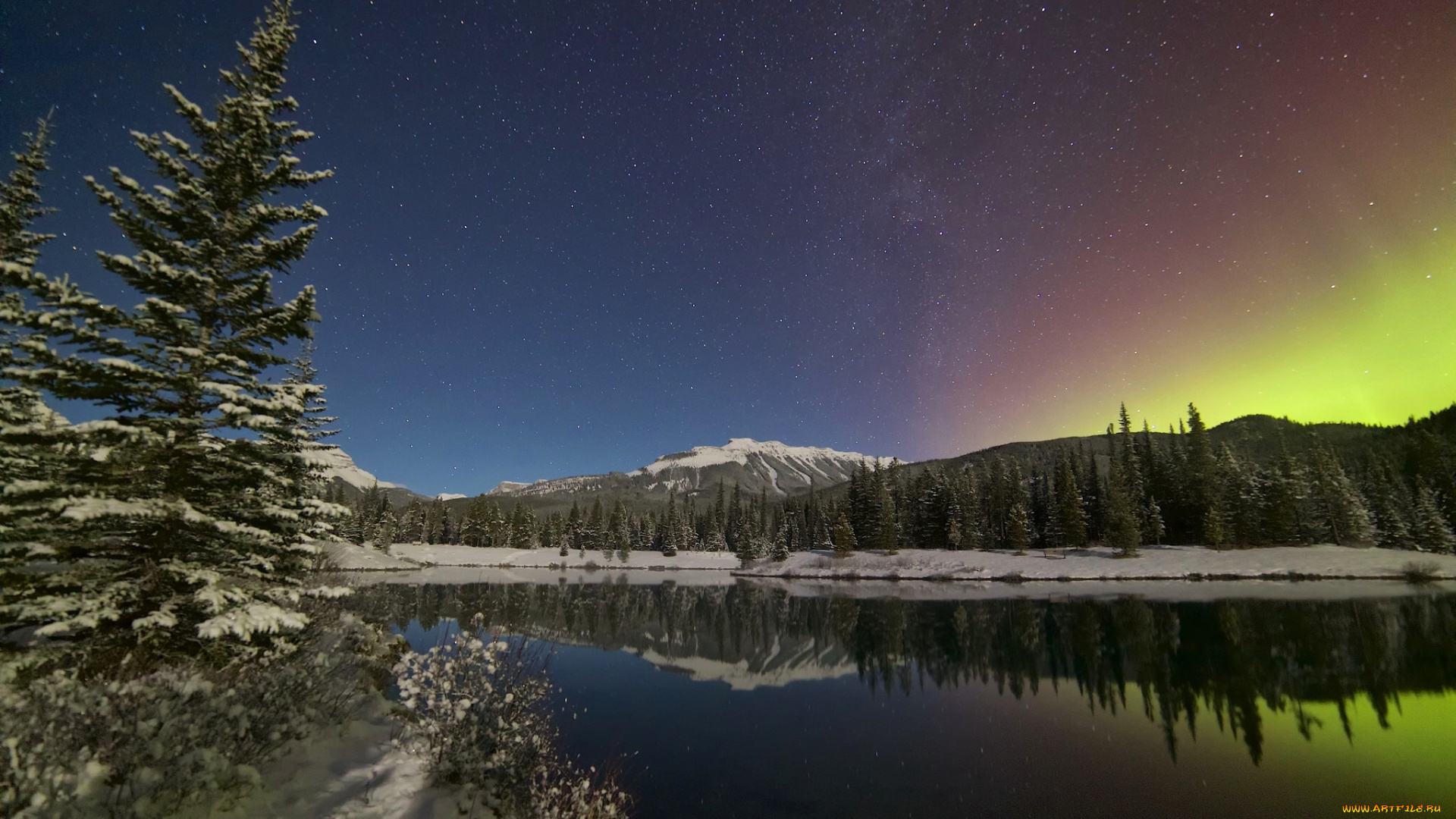 природа, северное, сияние, озеро, kananaskis, country, канада, канадские, скалистые, горы, forgetmenot, pond, северное, сияние, небо, canada, canadian, rockies, кананаскис, альберта, alberta, отражение, деревья