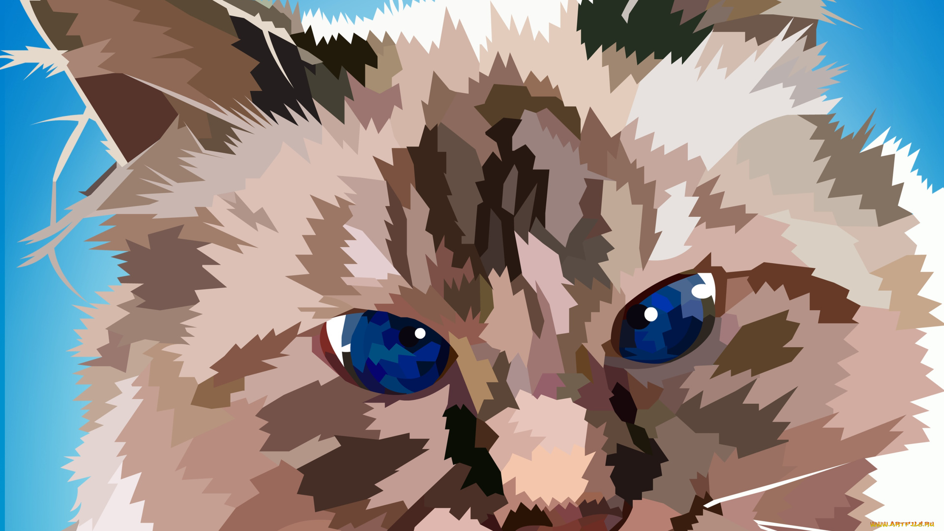 векторная, графика, животные, , animals, фон, взгляд, кот