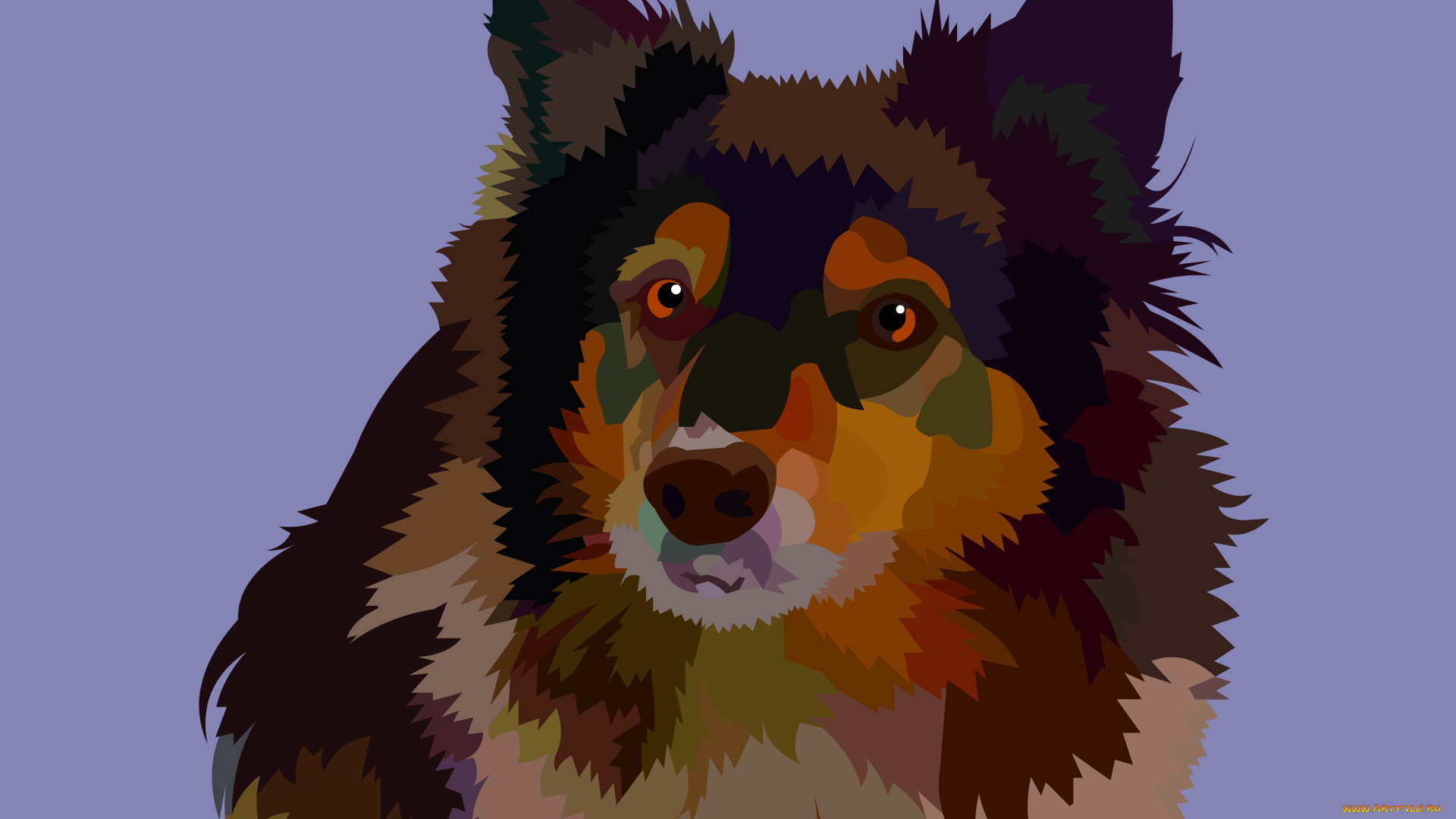 векторная, графика, животные, , animals, фон, взгляд, собака