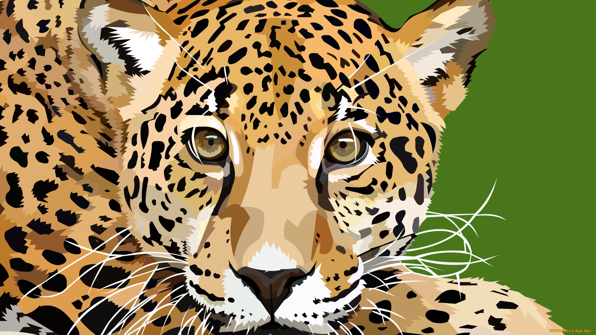 векторная, графика, животные, , animals, пантера