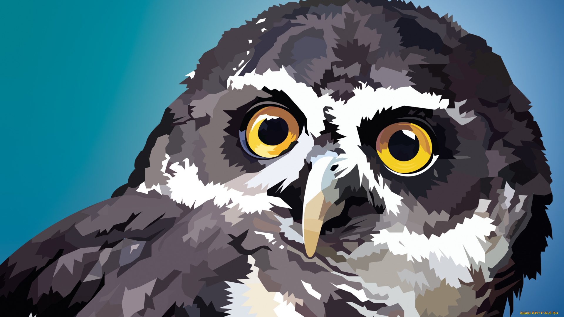 векторная, графика, животные, , animals, взгляд, сова, фон
