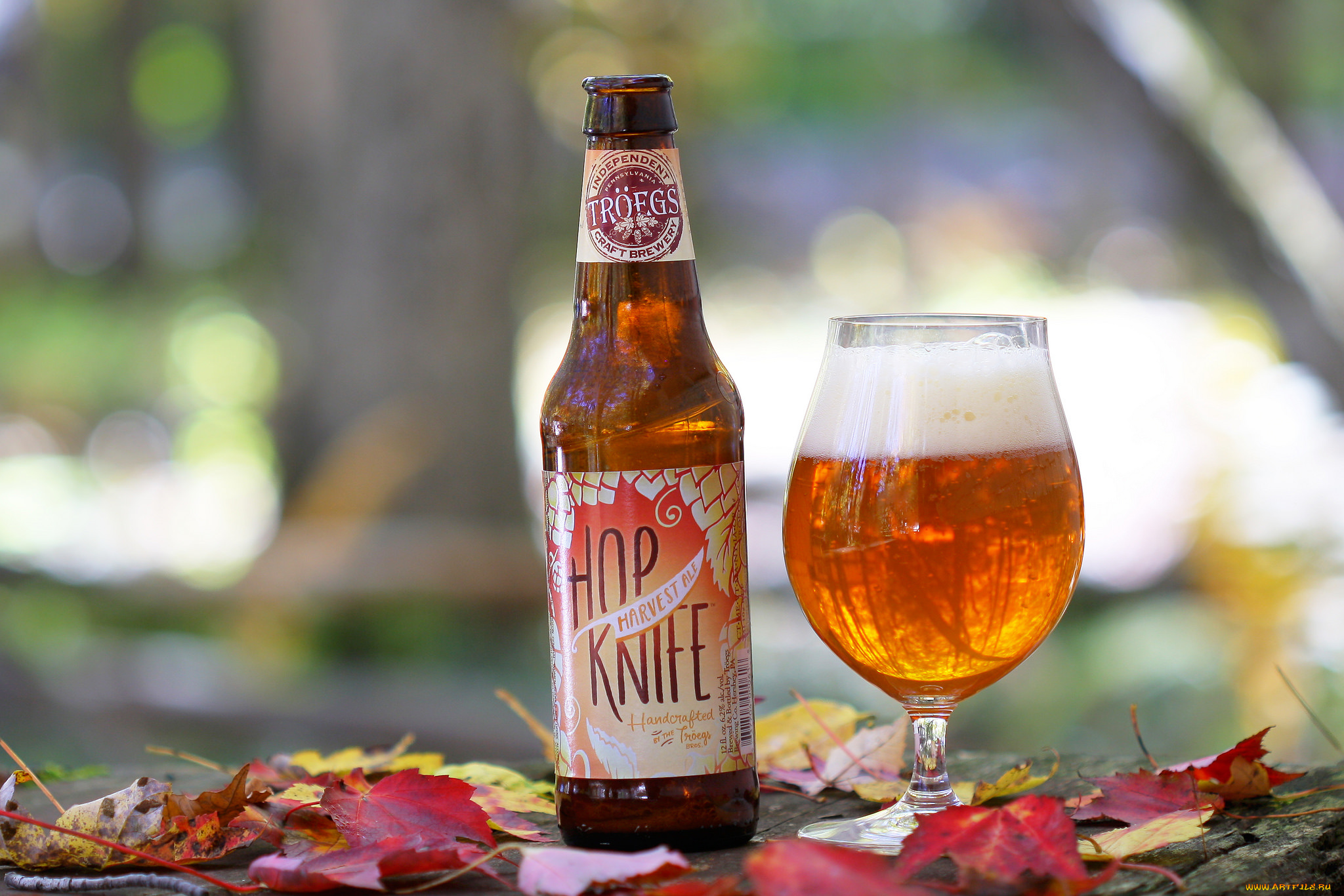 бренды, бренды, напитков, , разное, пиво