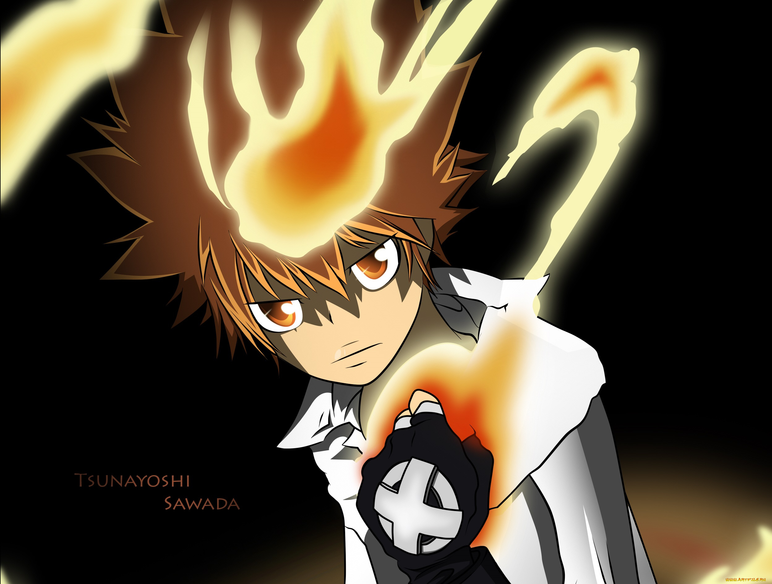 аниме, katekyo, hitman, reborn, тцунаёши, саввада, пламя, арт, взгляд, парень