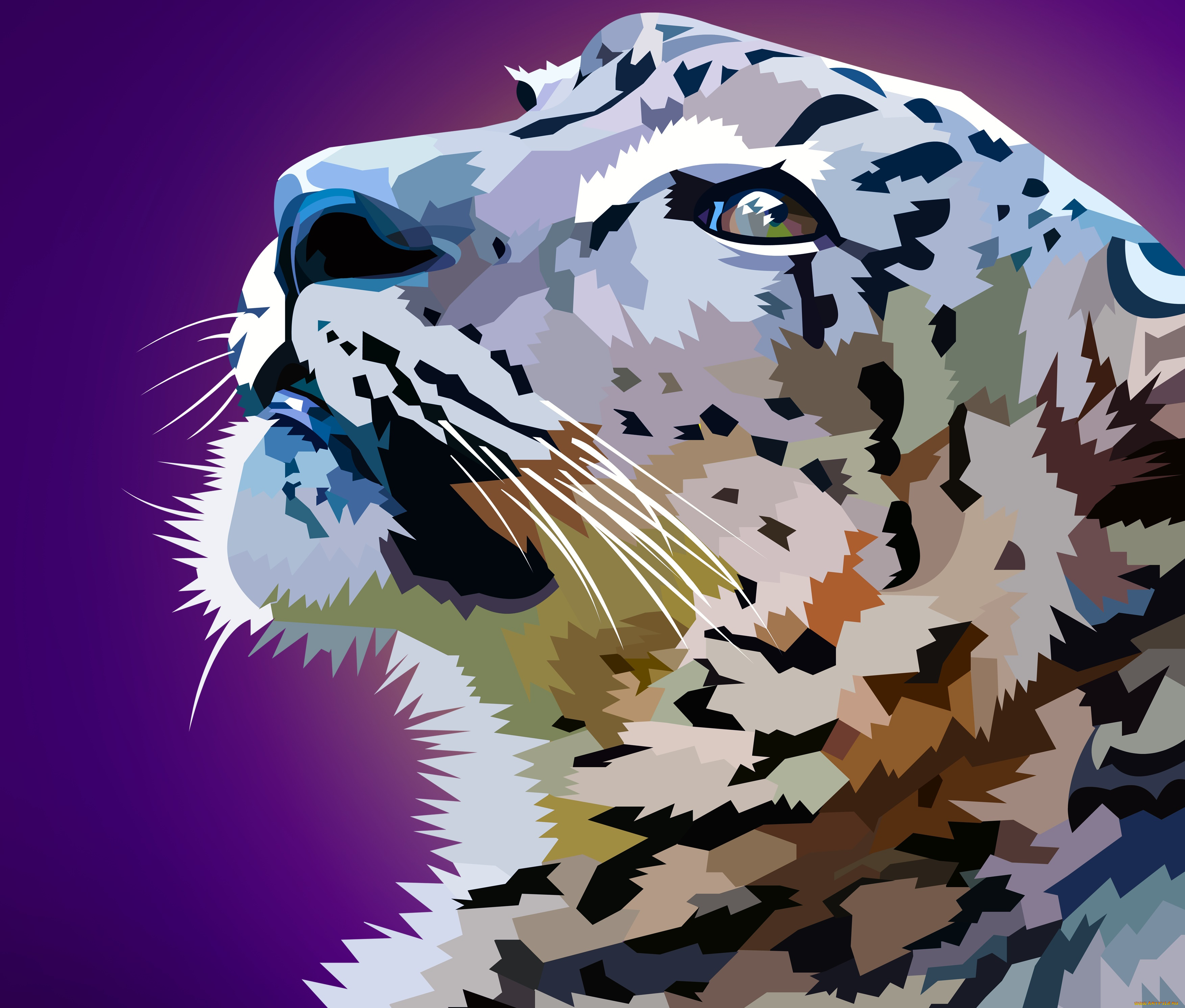 векторная, графика, животные, , animals, фон, тигр