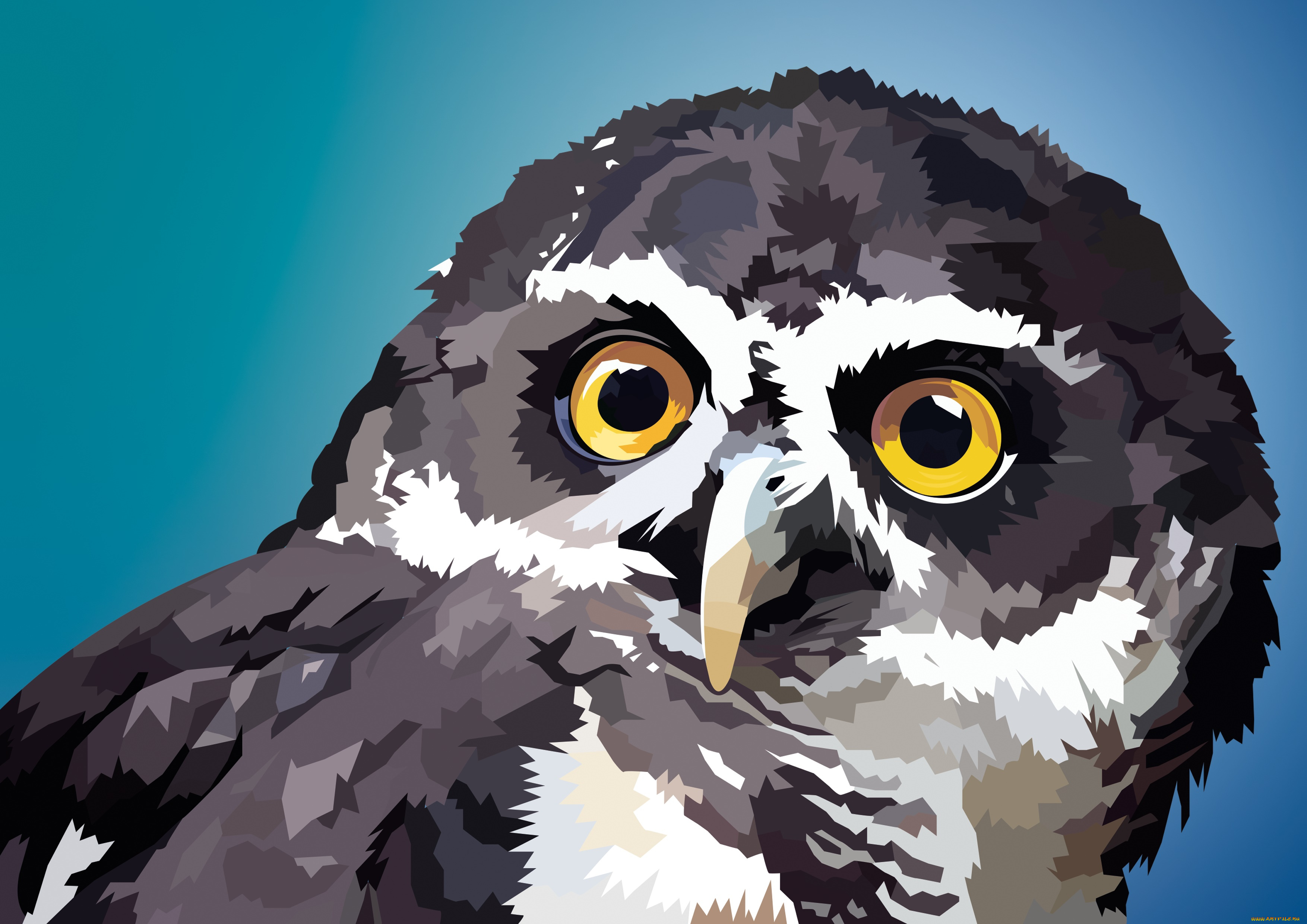 векторная, графика, животные, , animals, взгляд, сова, фон