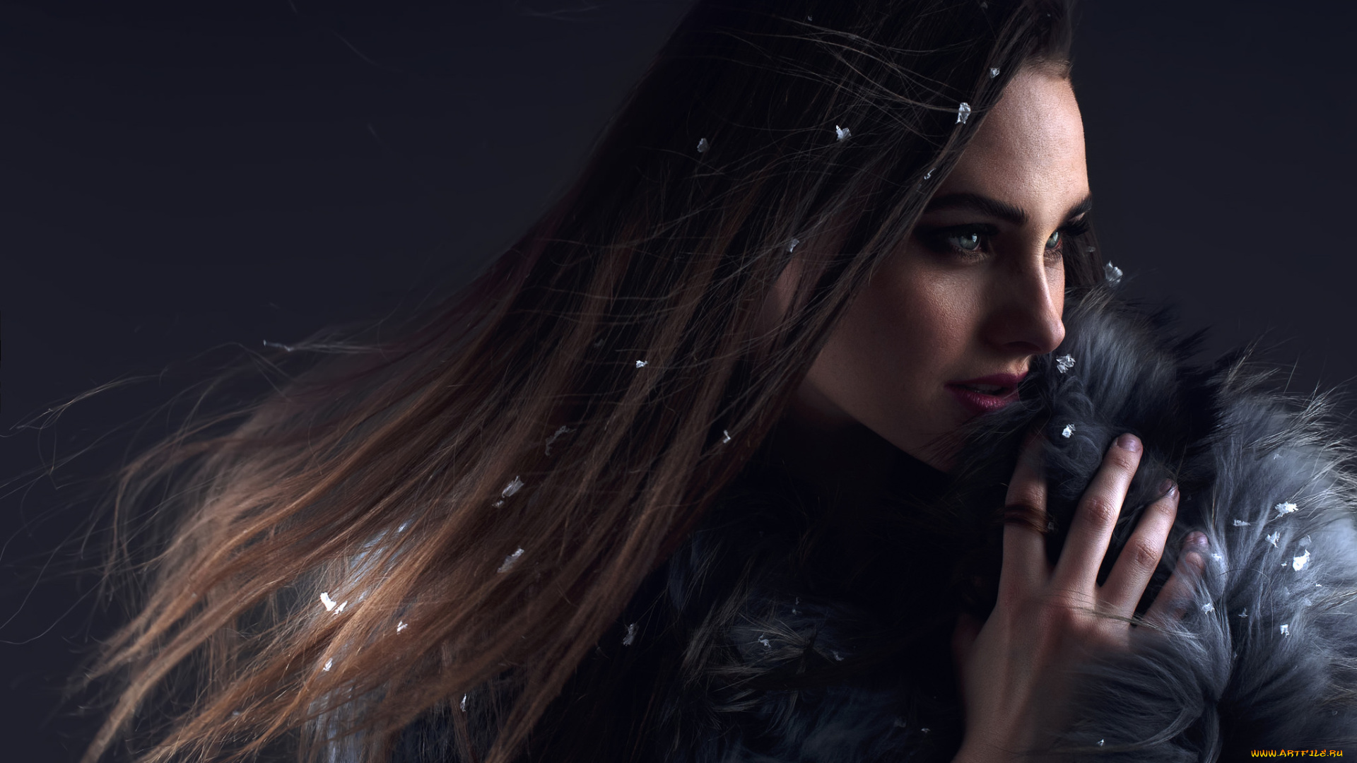 девушки, -unsort, , лица, , портреты, песик