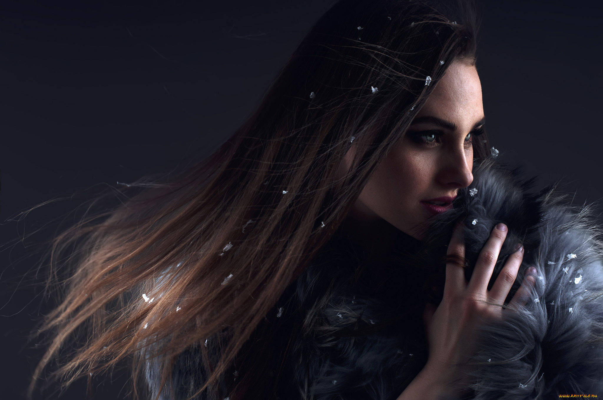 девушки, -unsort, , лица, , портреты, песик