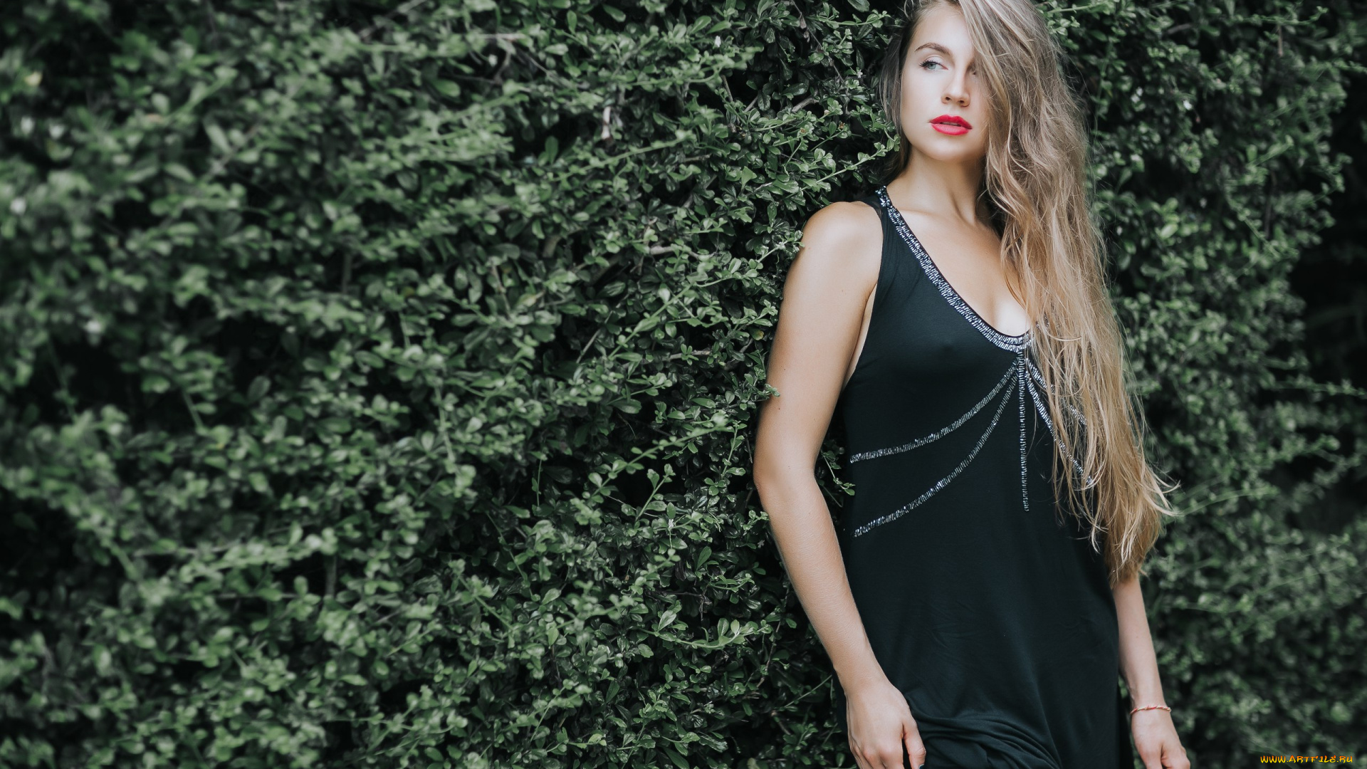 девушка, девушки, -unsort, , блондинки, , светловолосые, блондинка