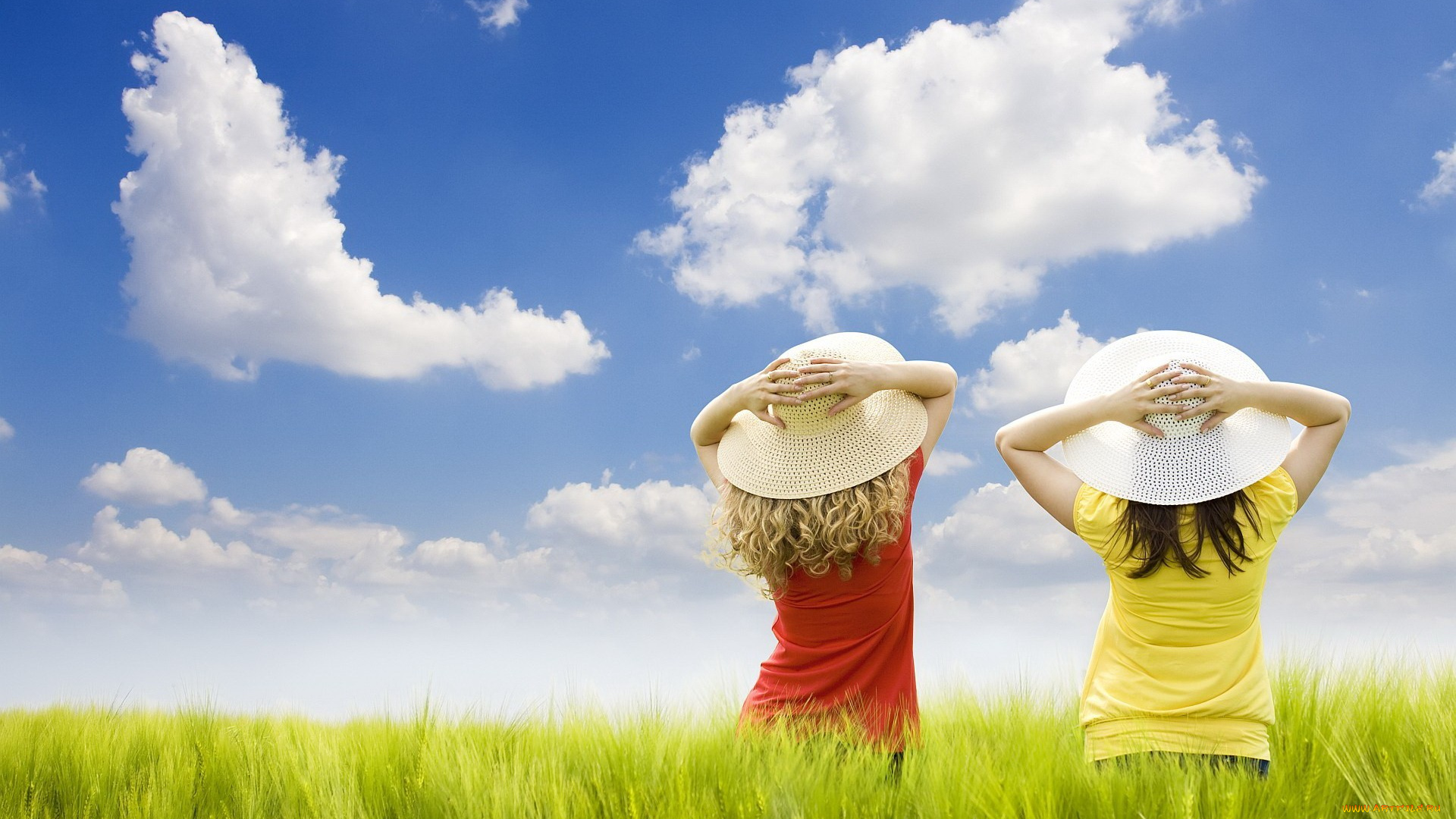 девушки, -unsort, , группа, девушек, брюнетка, блондинка, шляпы, поле, небо, облака