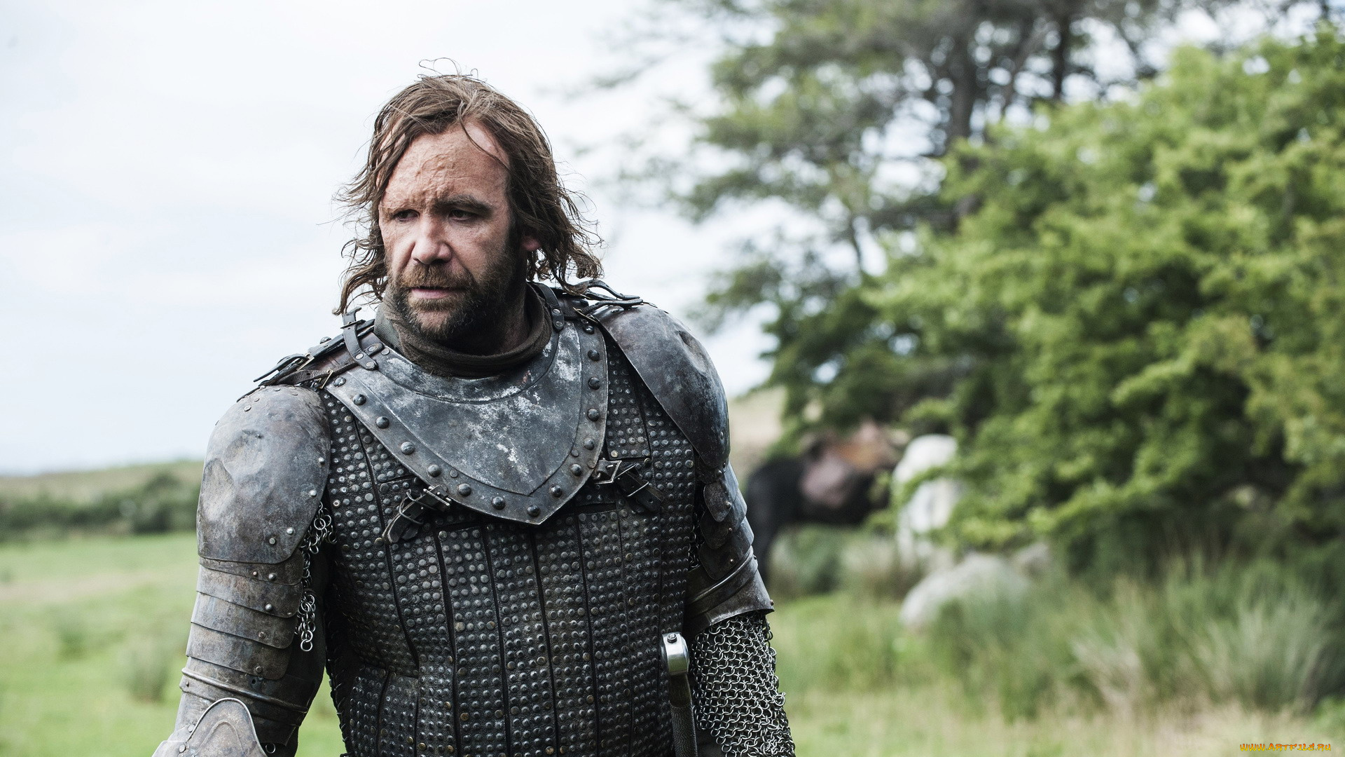 кино, фильмы, game, of, thrones, , сериал, the, hound, rory, mccann