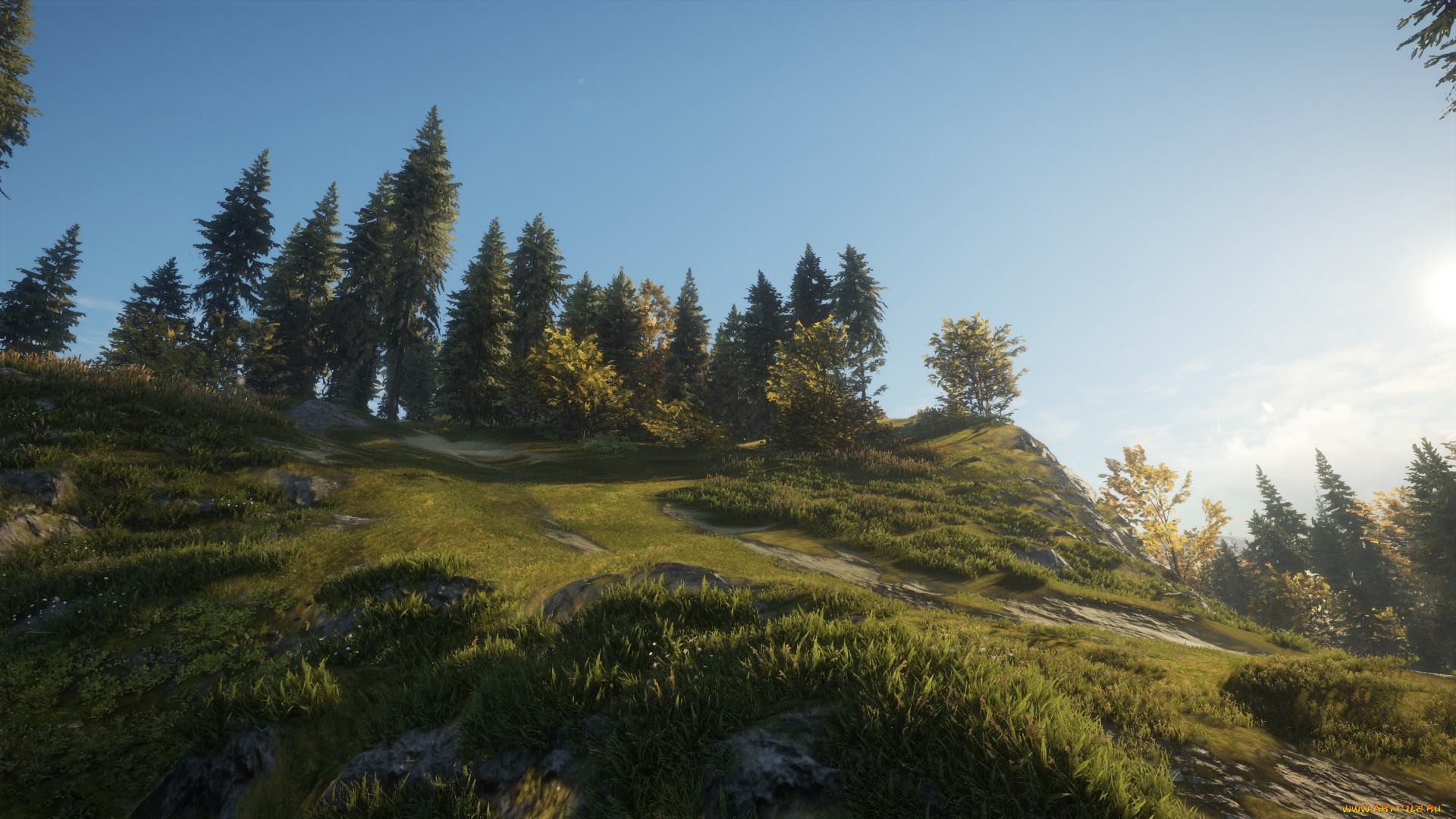 видео, игры, the, hunter, the, hunter