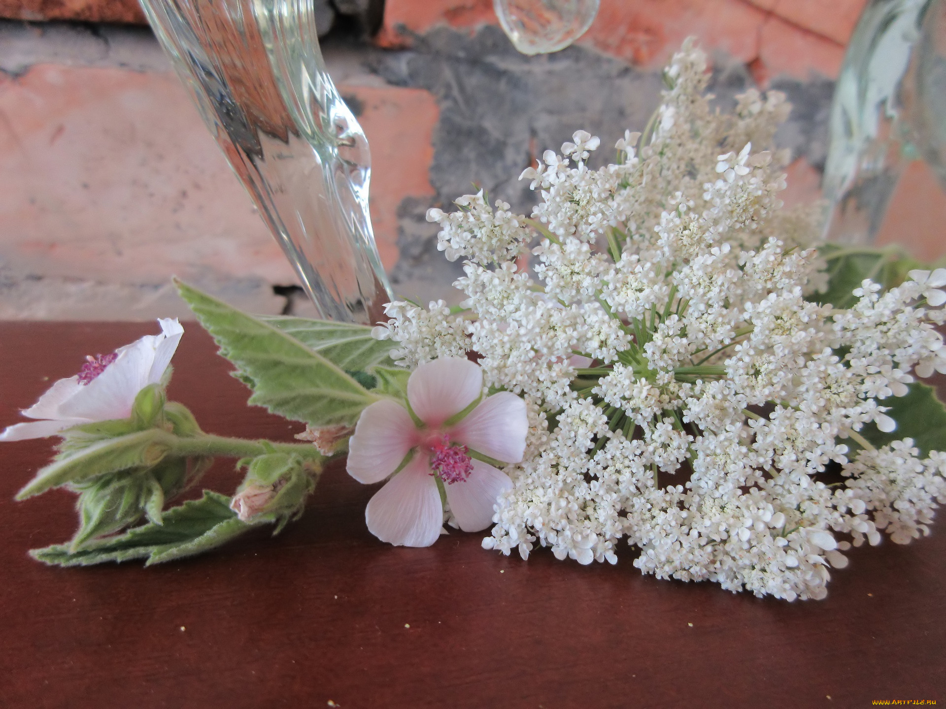 цветы, разные, вместе, букетик