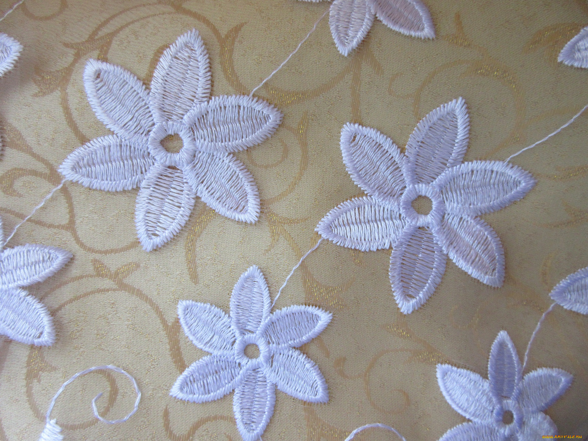 разное, текстуры, цветы