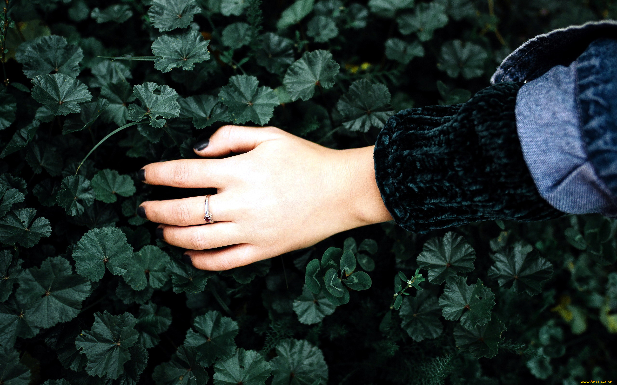 разное, руки, рука, листья, кольцо