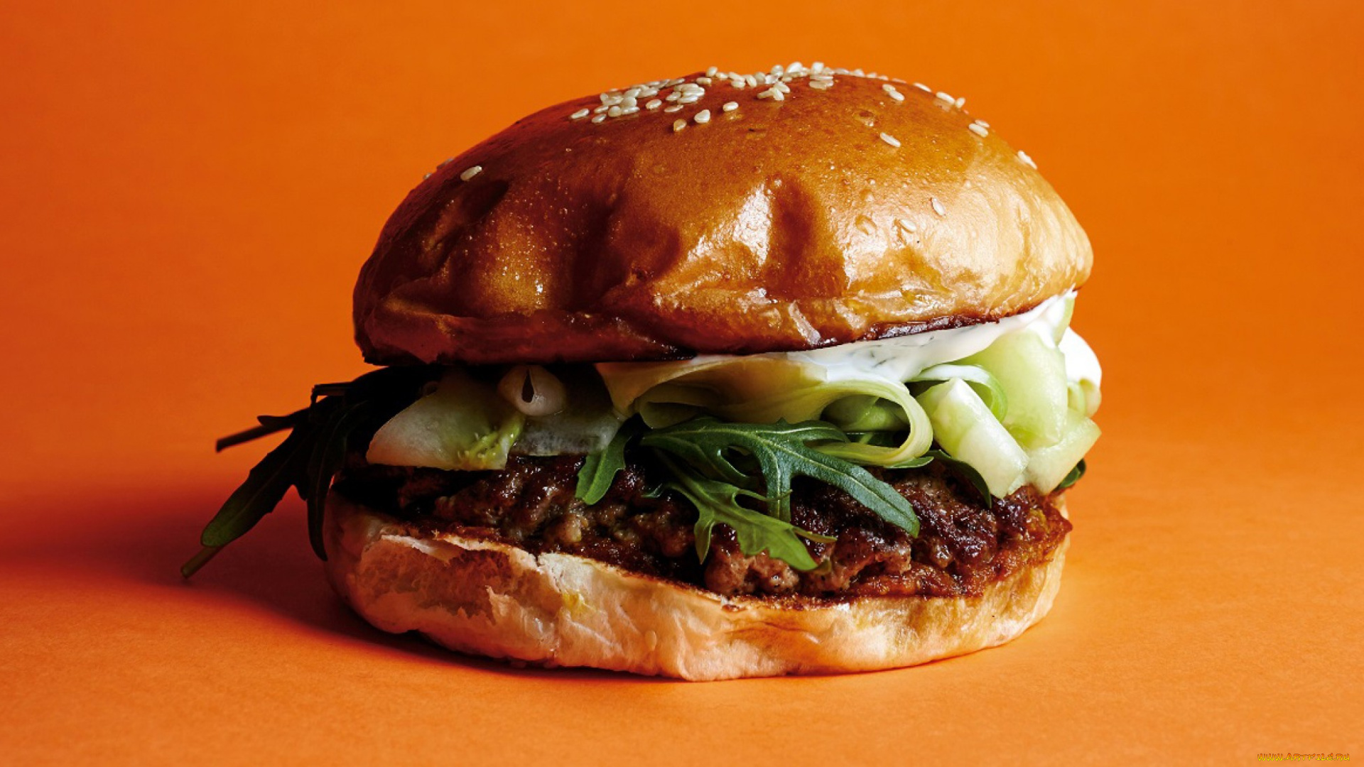 еда, бутерброды, , гамбургеры, , канапе, гамбургер