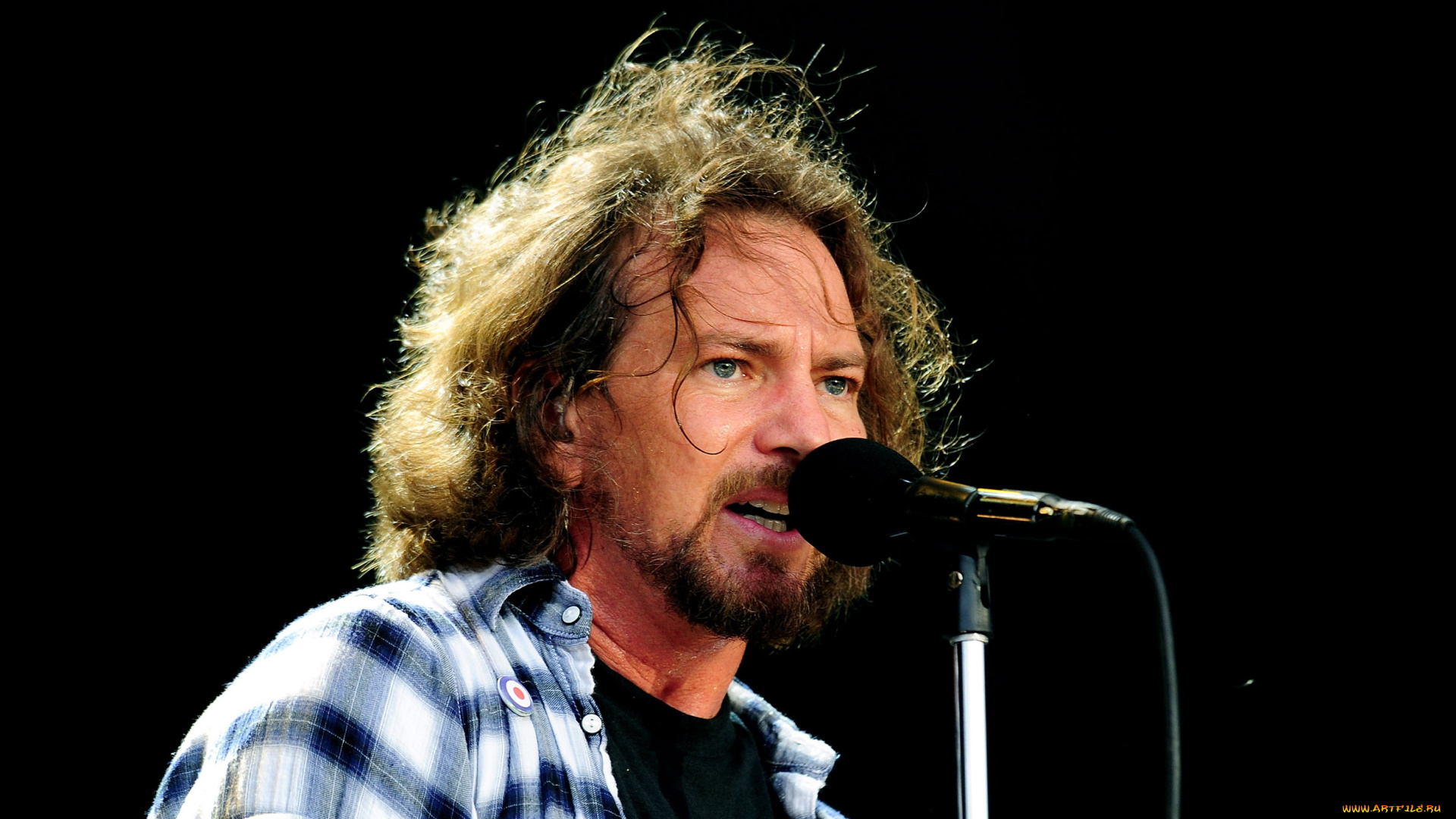 eddie, vedder, музыка, музыкант